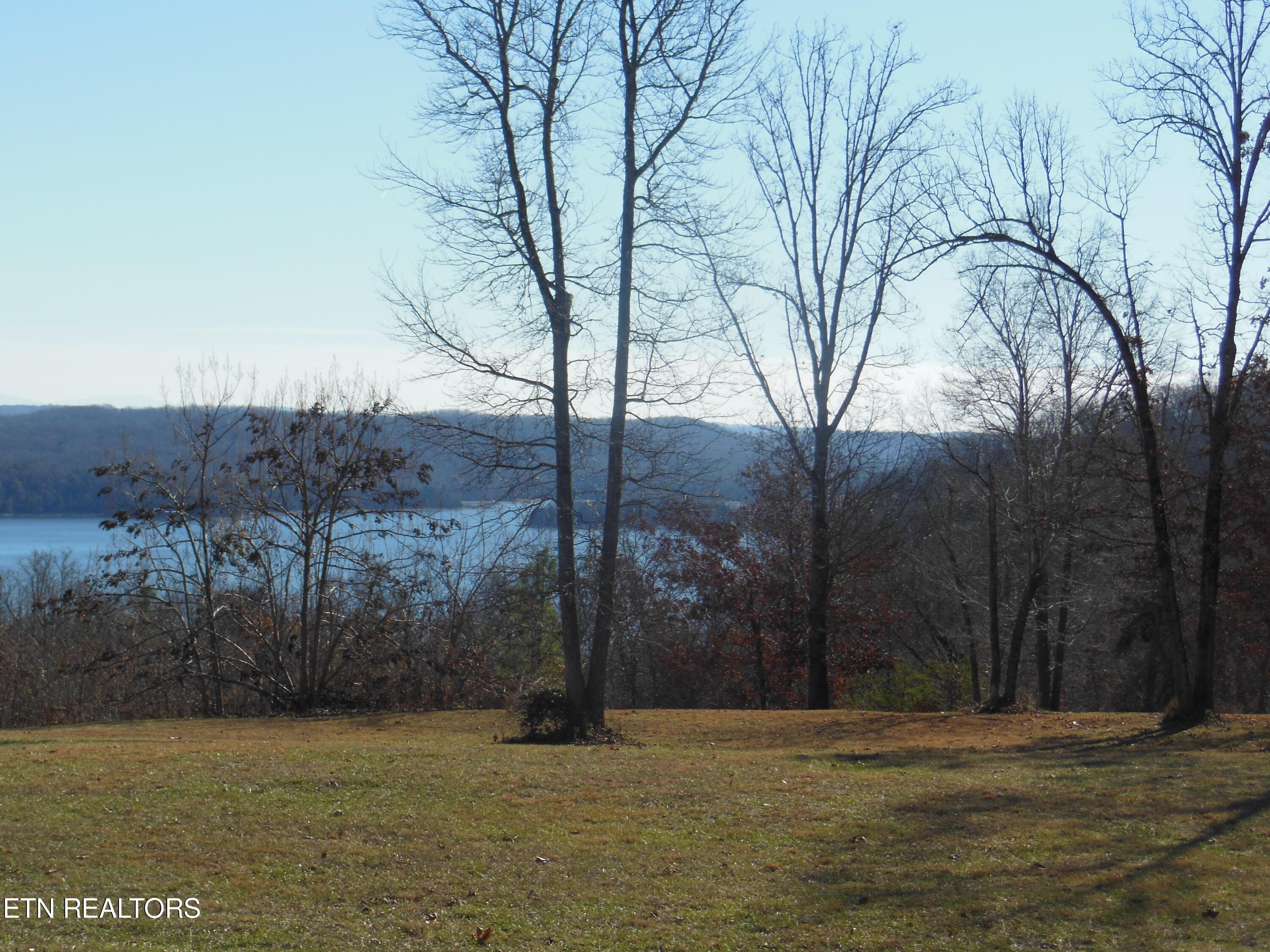 140 Quail Hollow Cove Spring City TN 37381
