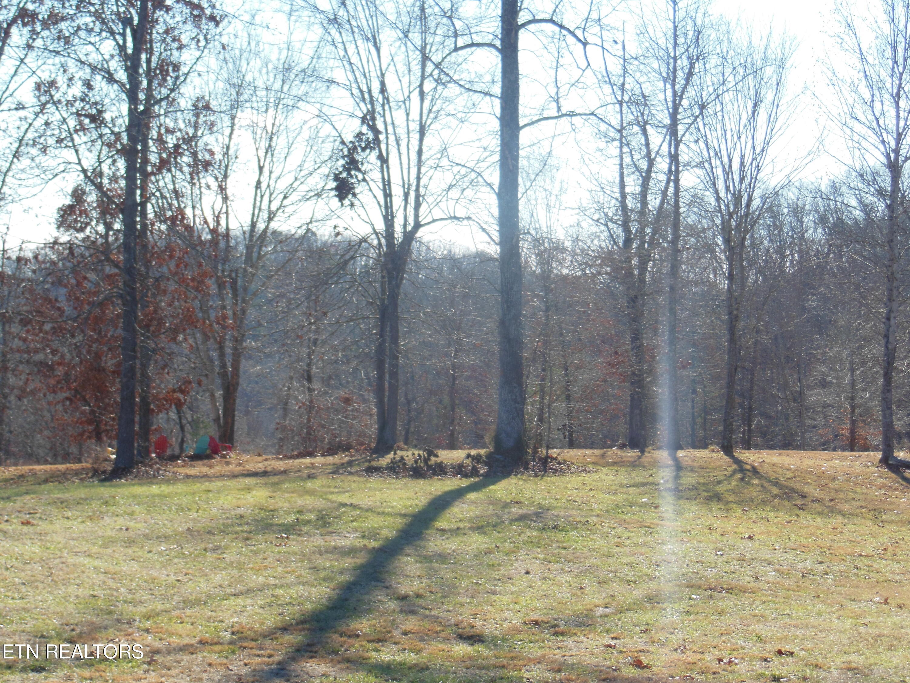 140 Quail Hollow Cove Spring City TN 37381