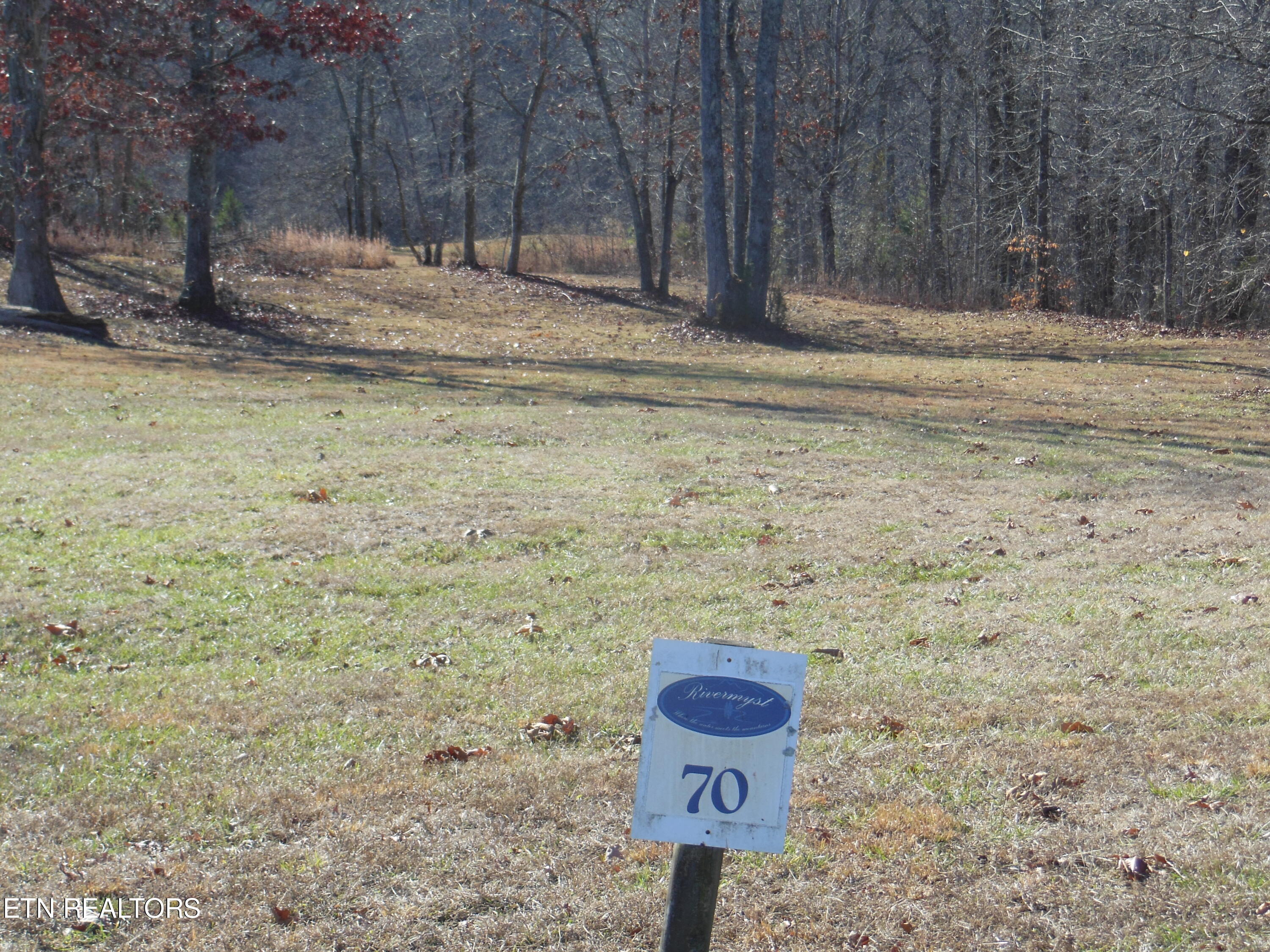 140 Quail Hollow Cove Spring City TN 37381