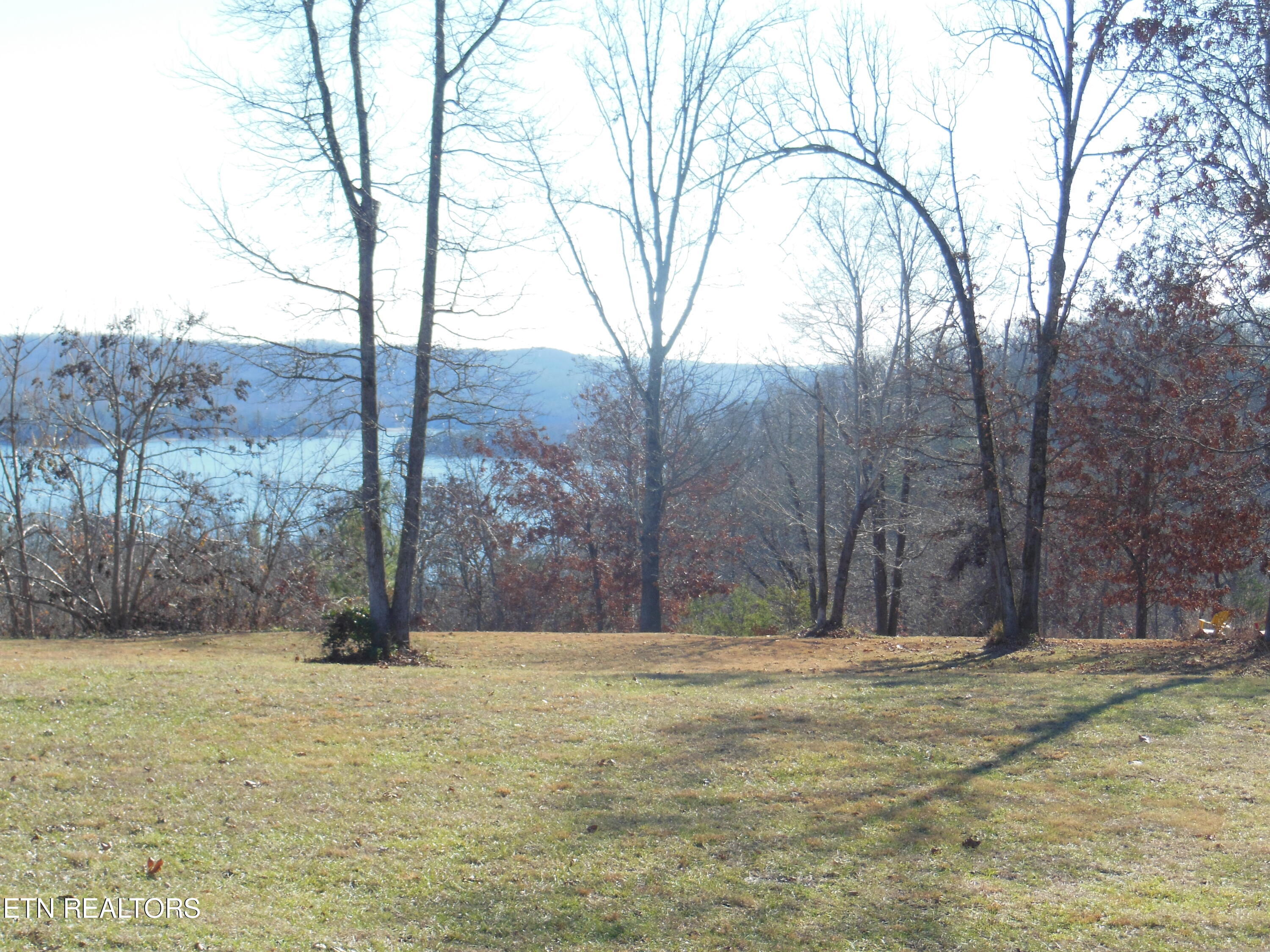 140 Quail Hollow Cove Spring City TN 37381