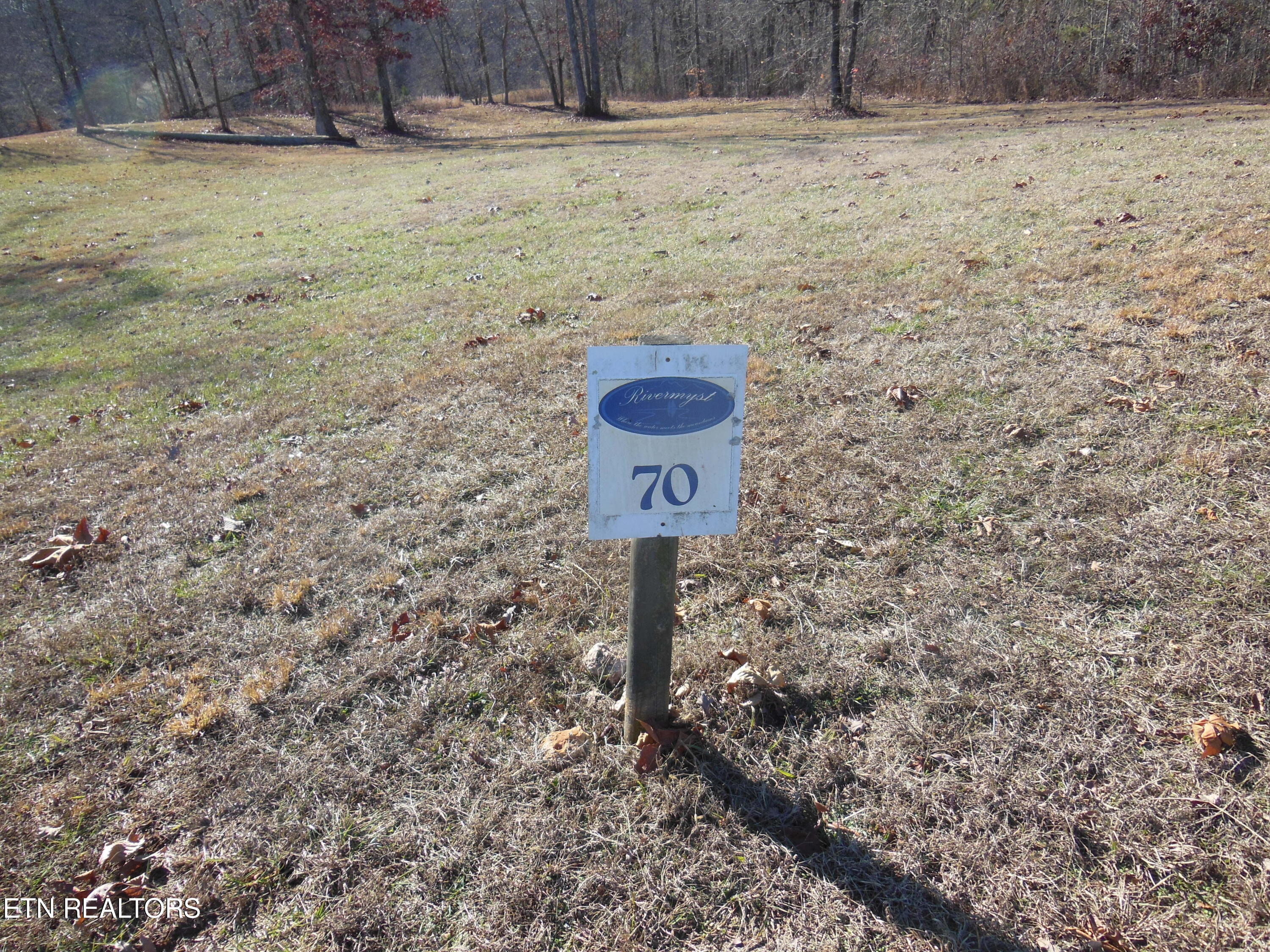 140 Quail Hollow Cove Spring City TN 37381