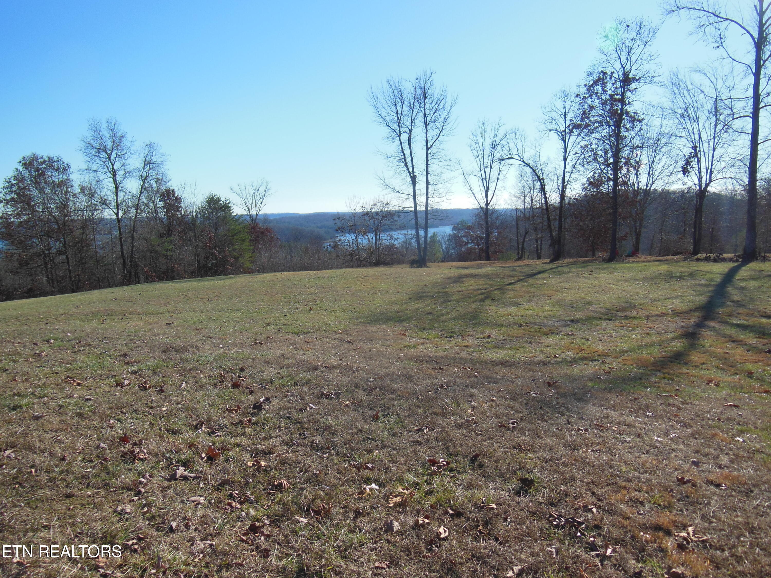 140 Quail Hollow Cove Spring City TN 37381