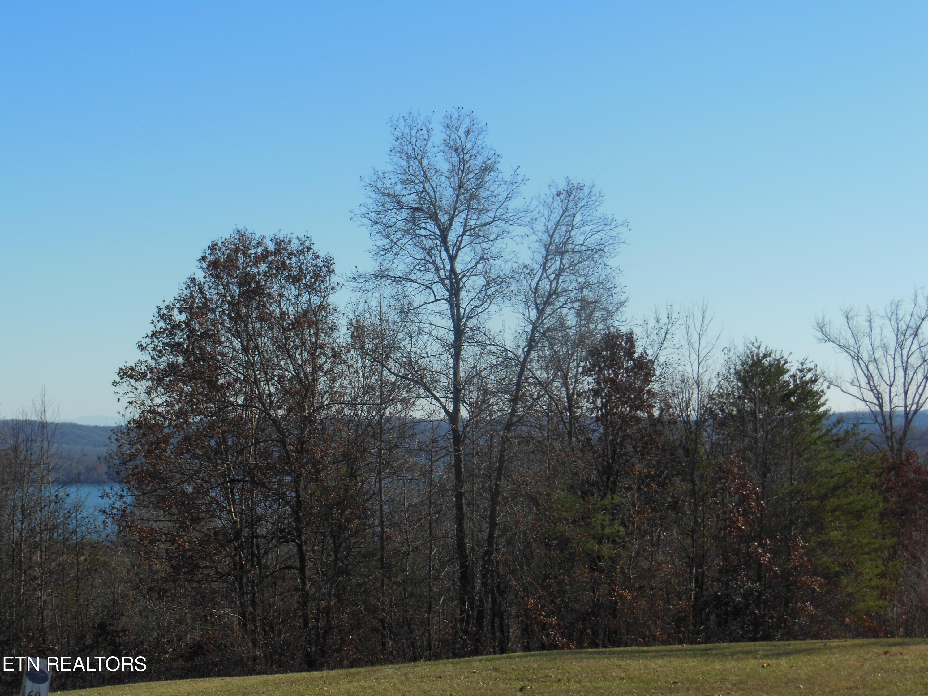 140 Quail Hollow Cove Spring City TN 37381