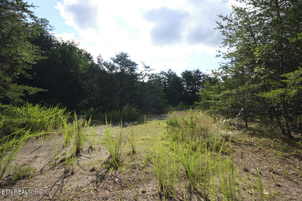 Rutledge Pike Blaine TN 37709