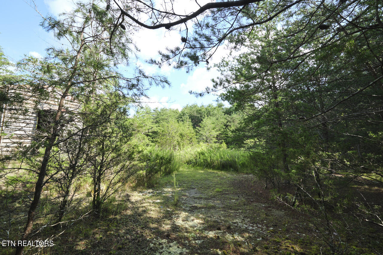 Rutledge Pike Blaine TN 37709