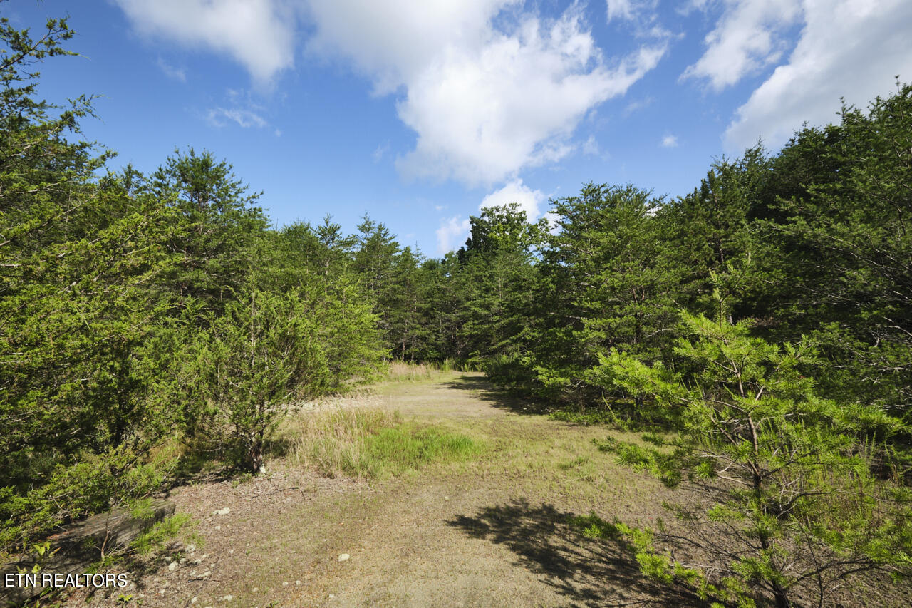 Rutledge Pike Blaine TN 37709