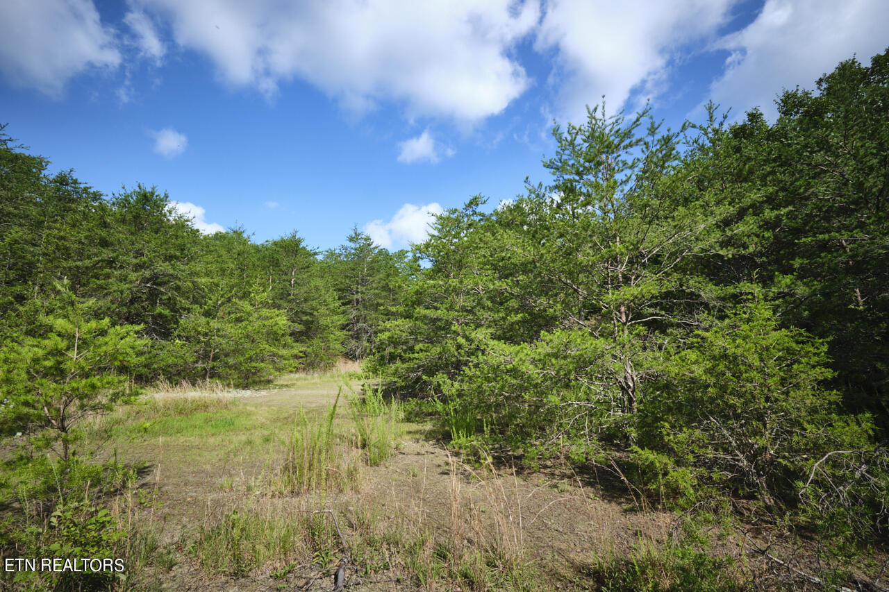 Rutledge Pike Blaine TN 37709