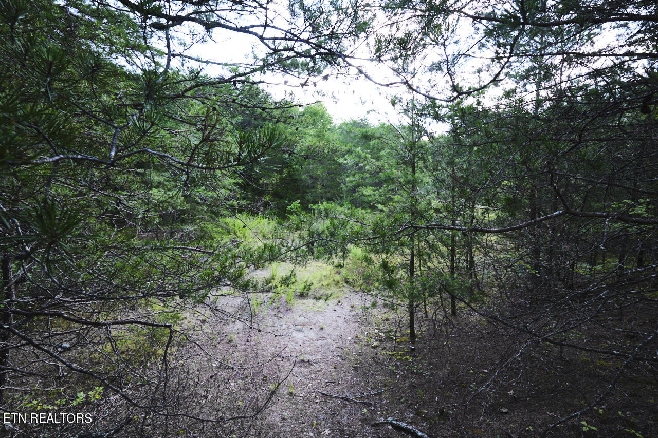 Rutledge Pike Blaine TN 37709