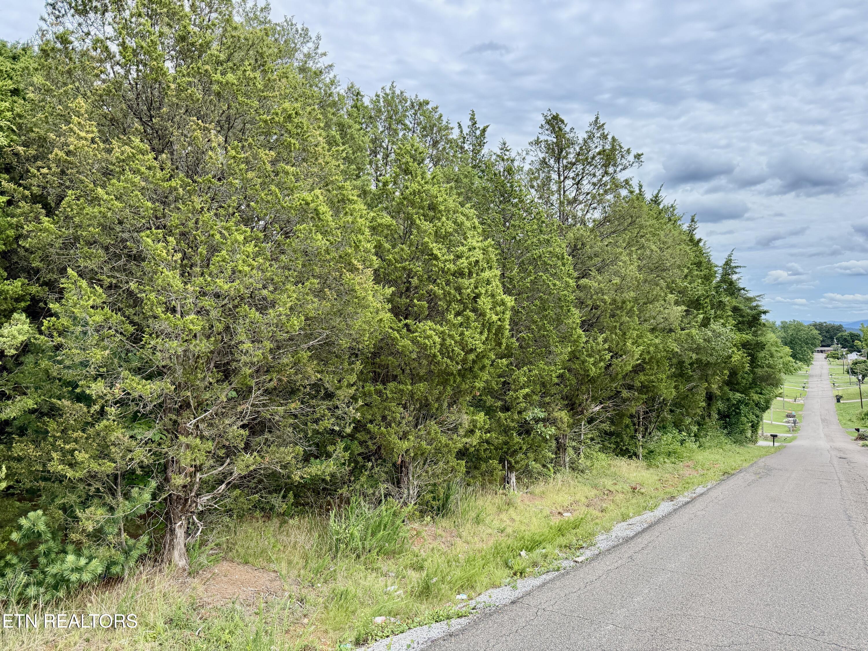 111 Britton Drive Talbott TN 37877