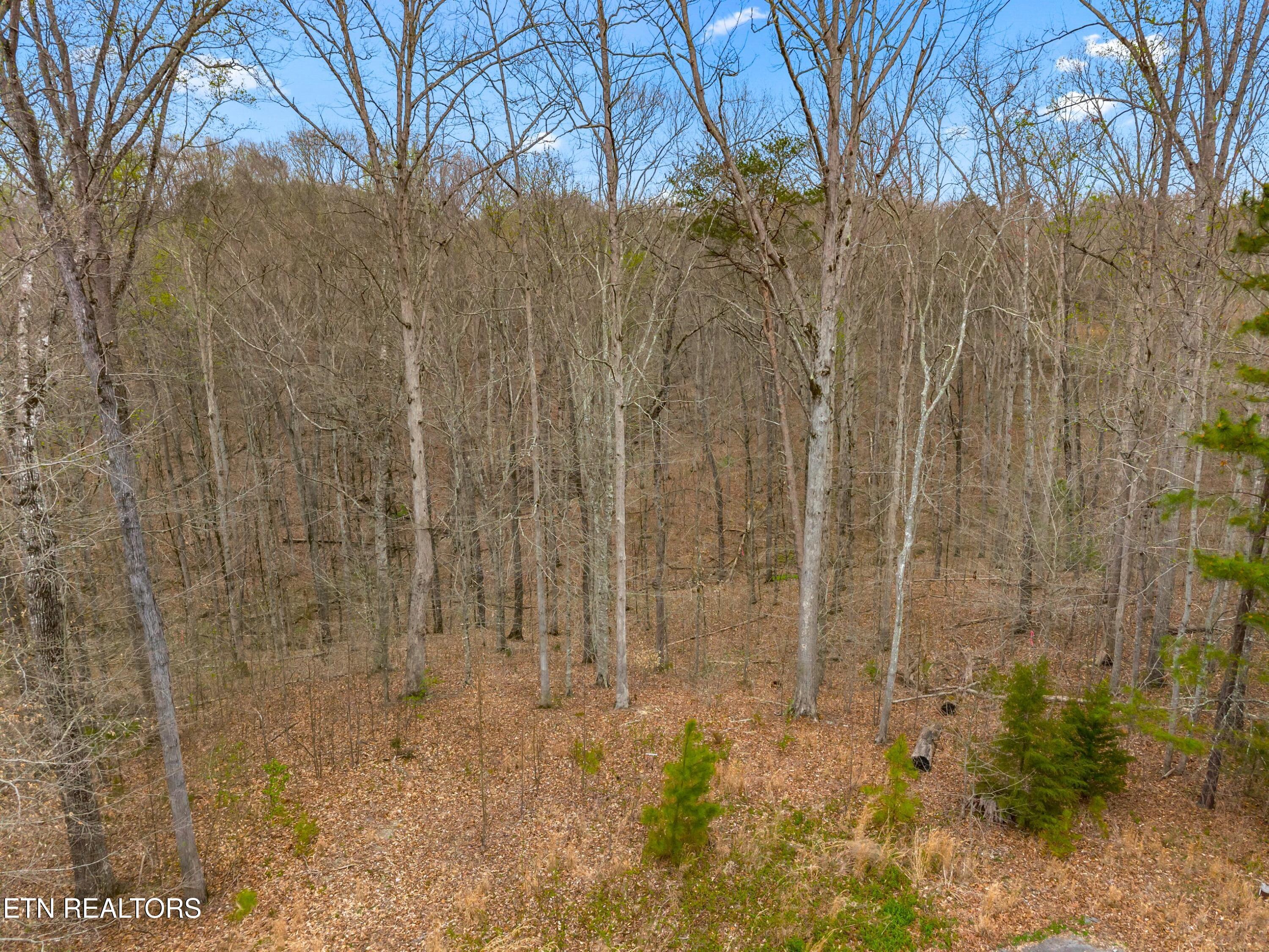 Lot 106 Turtle Dove Trail Dandridge TN 37725