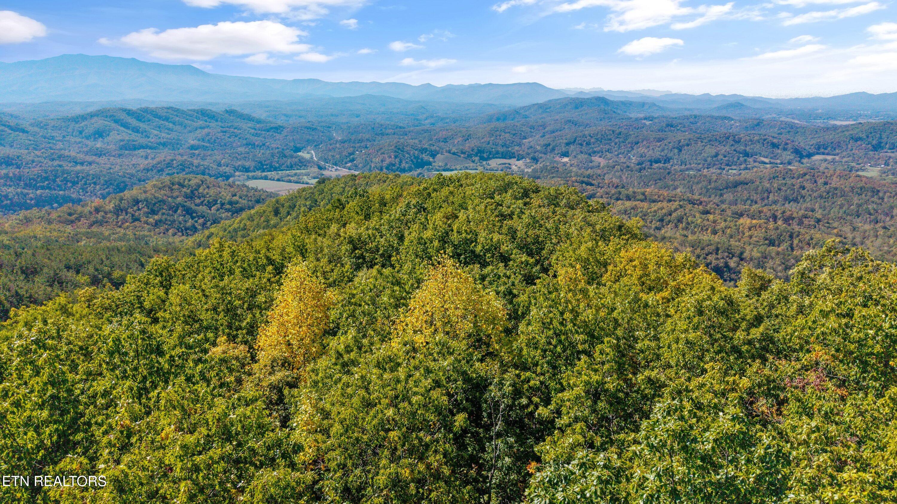 Off Sharp Road/shell Mountain Sevierville TN 37876