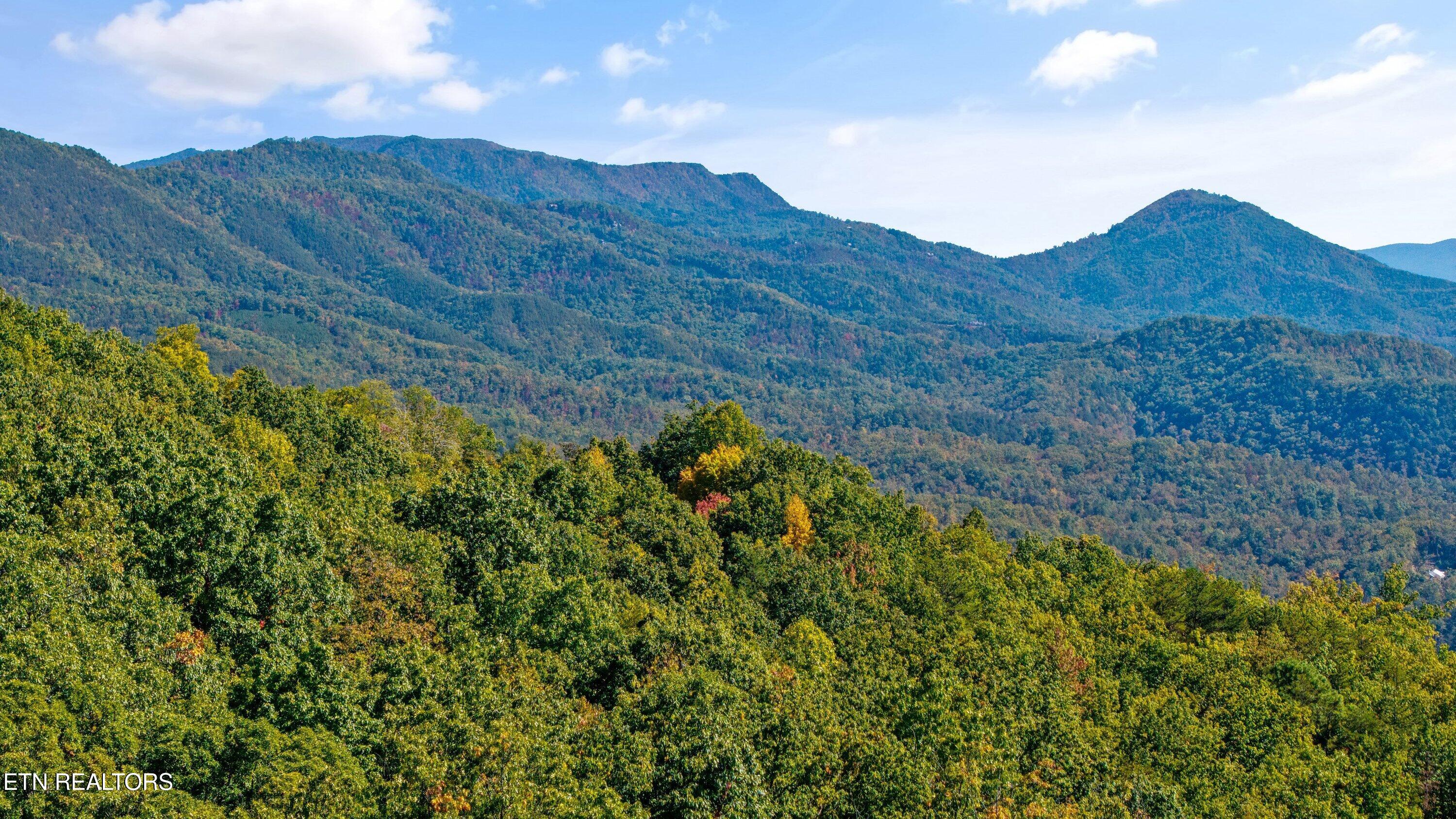 Off Sharp Road/shell Mountain Sevierville TN 37876