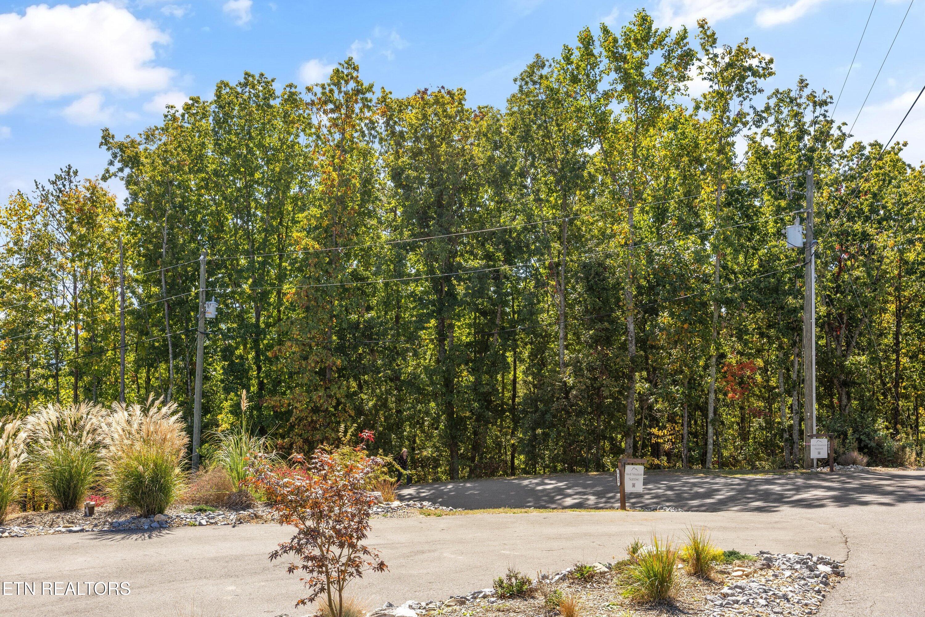 Off Sharp Road/shell Mountain Sevierville TN 37876