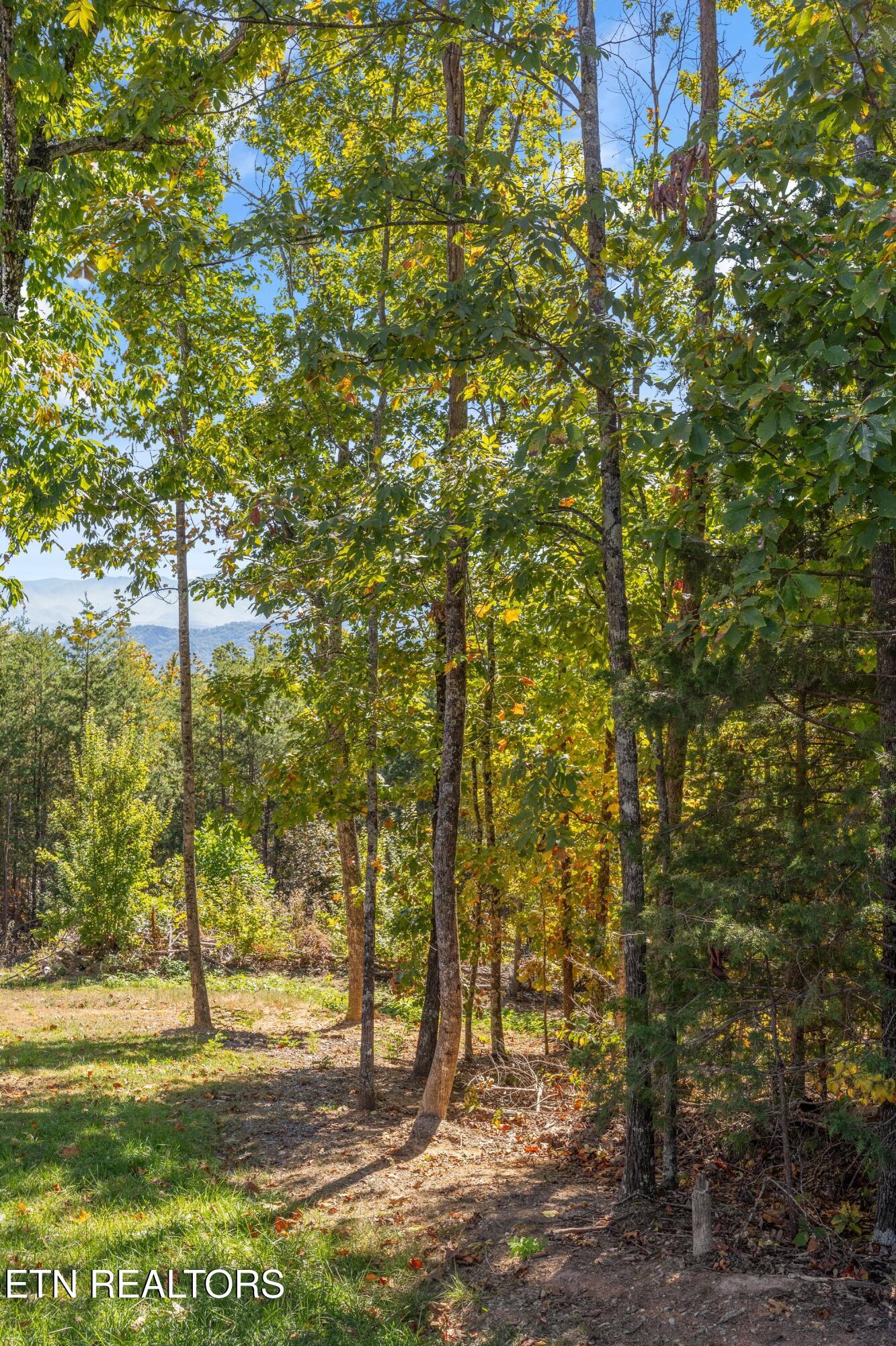 Off Sharp Road/shell Mountain Sevierville TN 37876