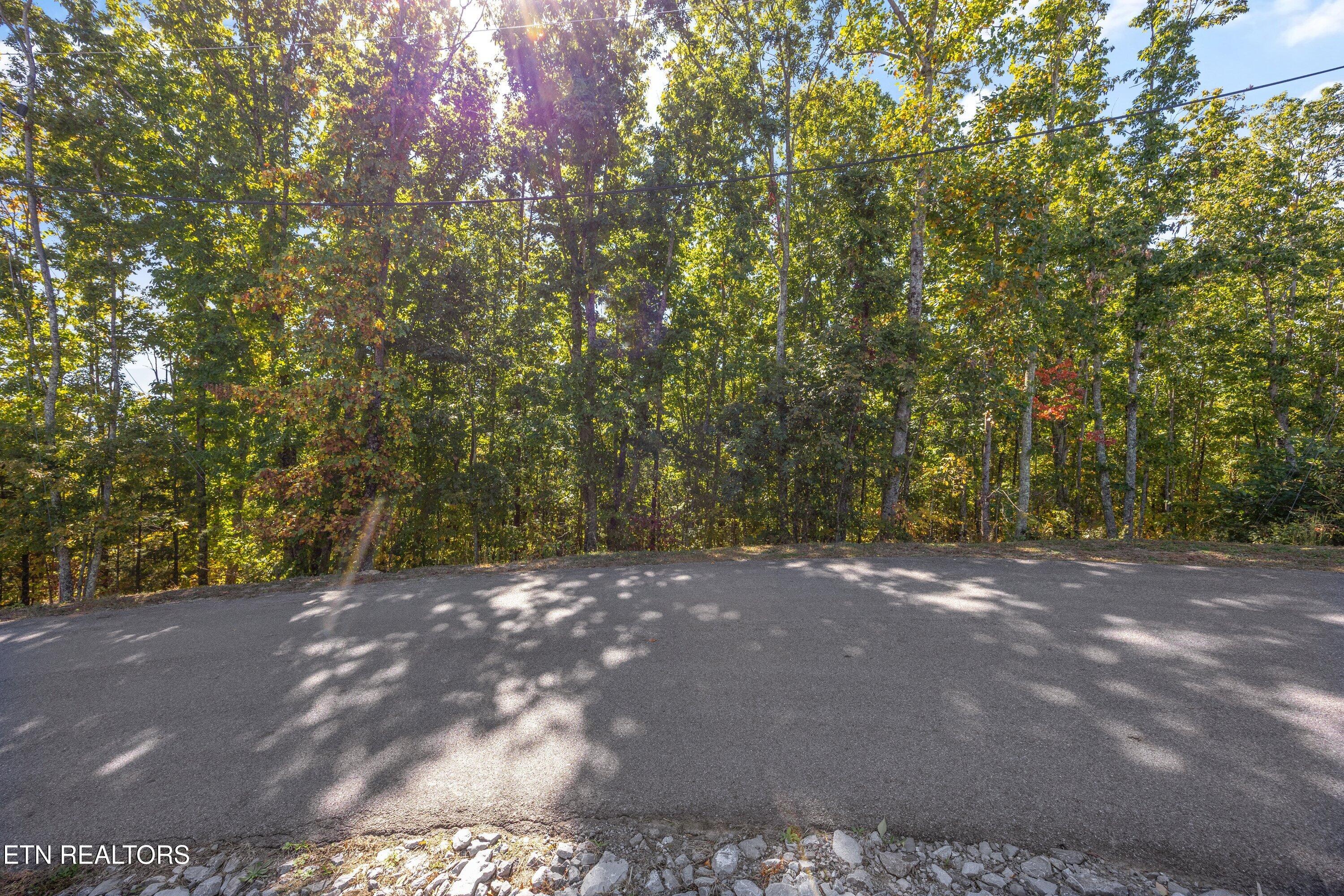 Off Sharp Road/shell Mountain Sevierville TN 37876