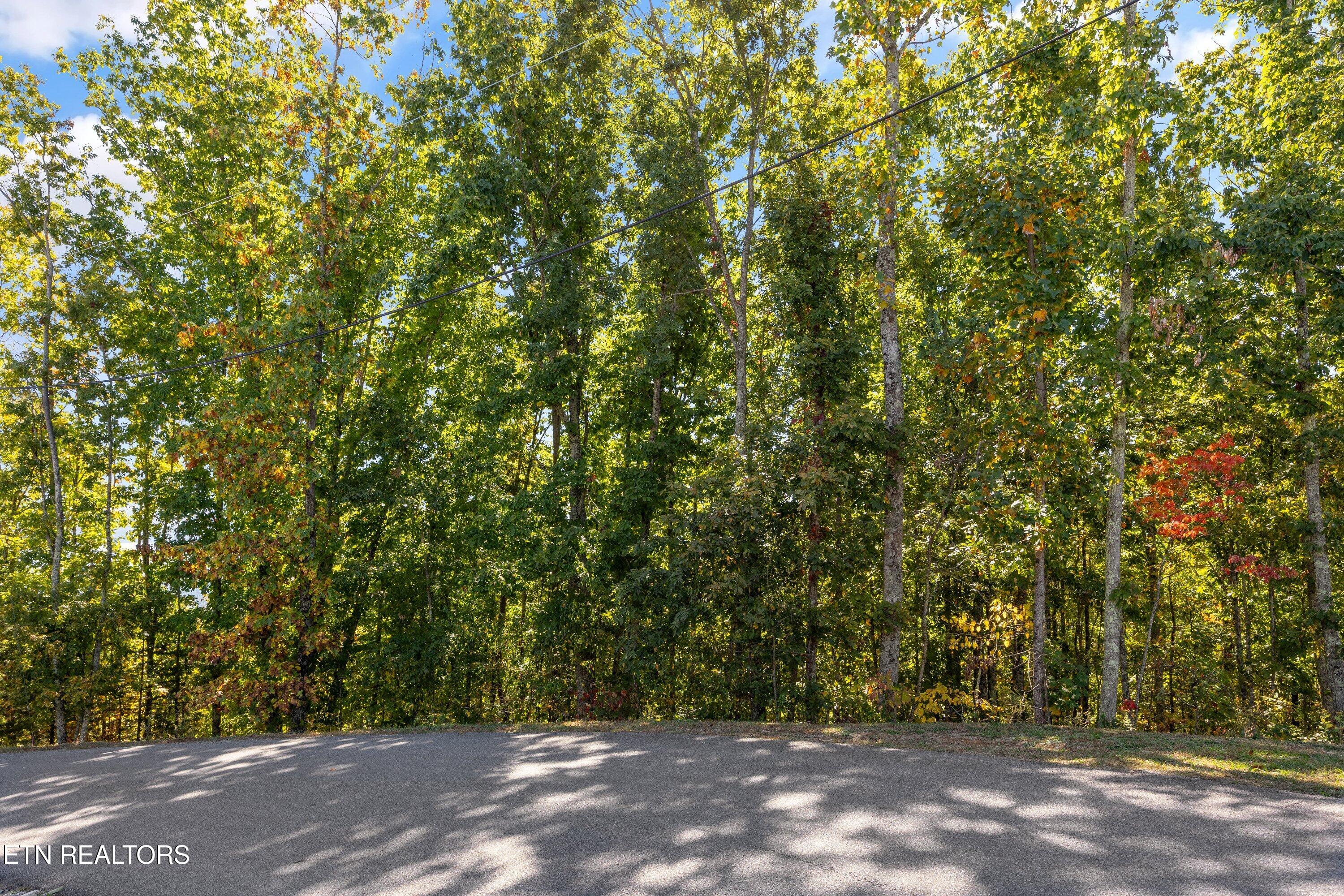Off Sharp Road/shell Mountain Sevierville TN 37876
