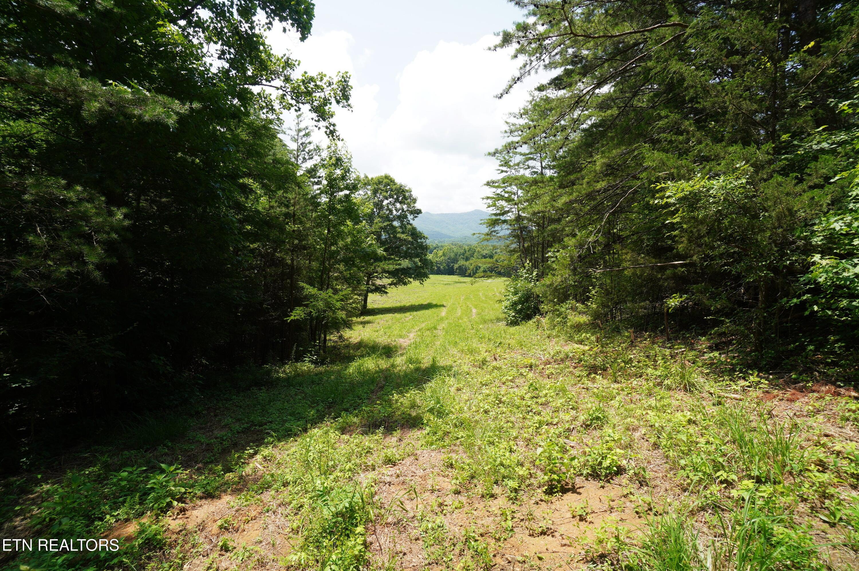 00 Rhyne Camp Road Newport TN 37821
