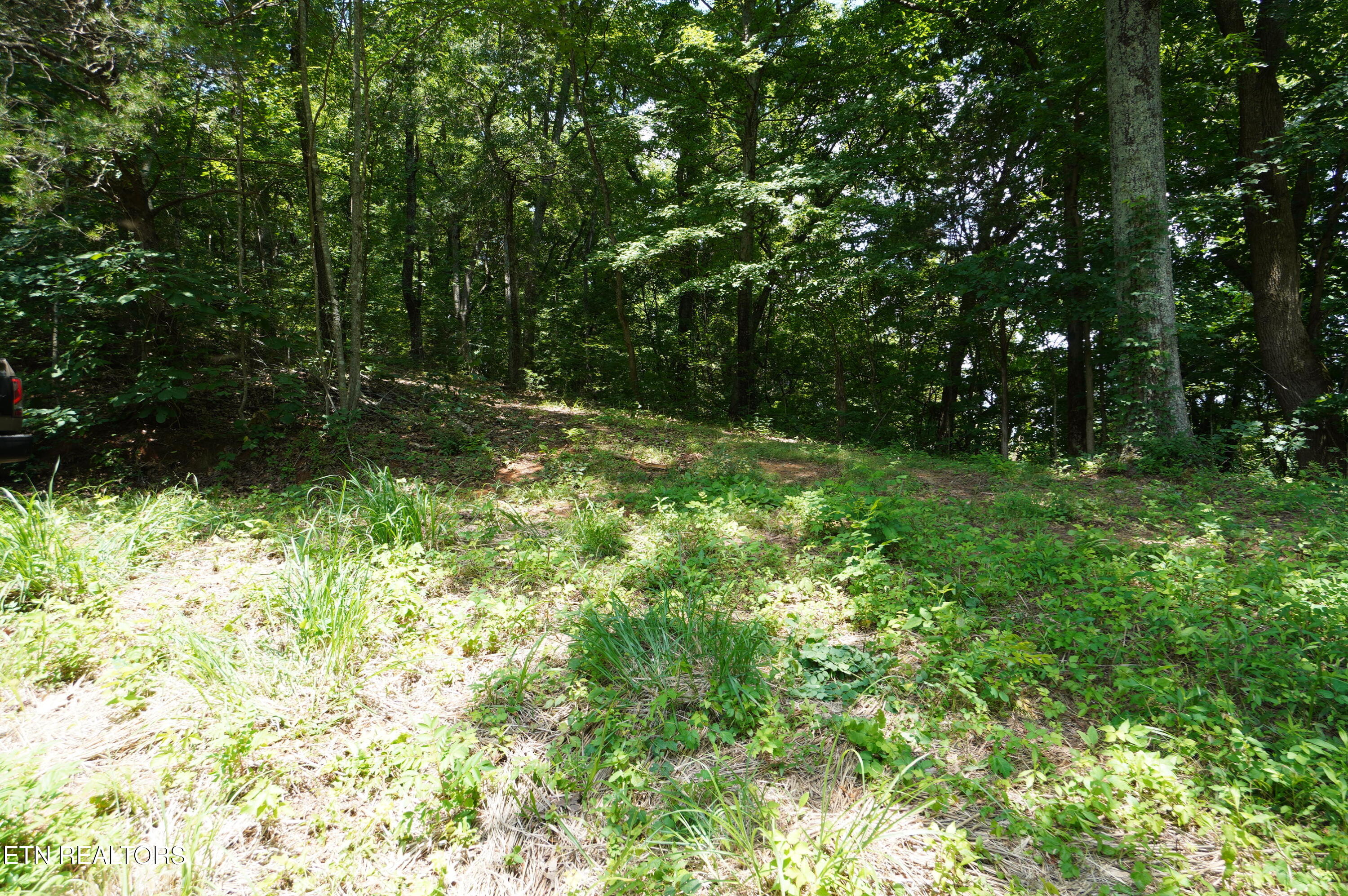 00 Rhyne Camp Road Newport TN 37821