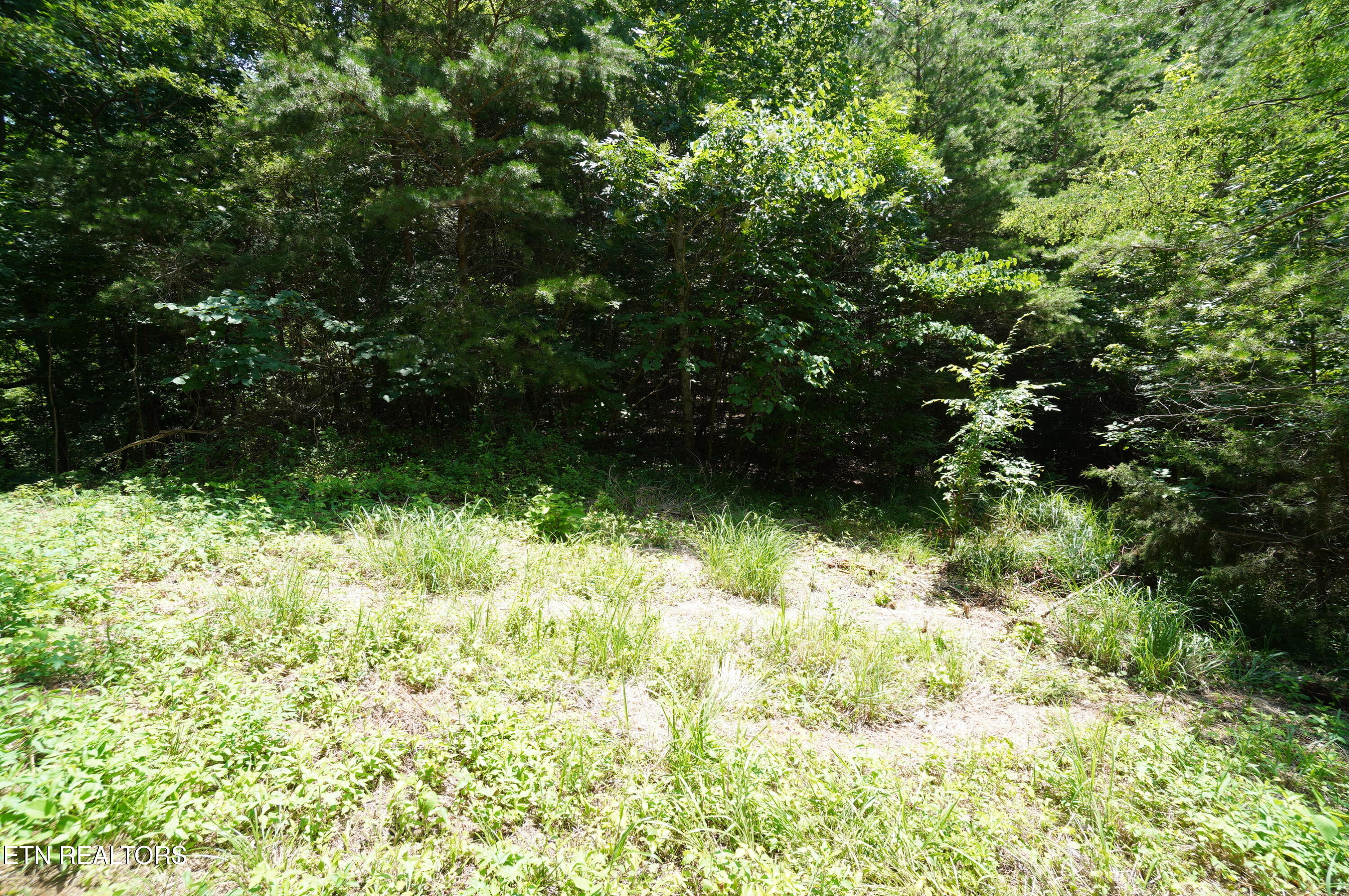 00 Rhyne Camp Road Newport TN 37821
