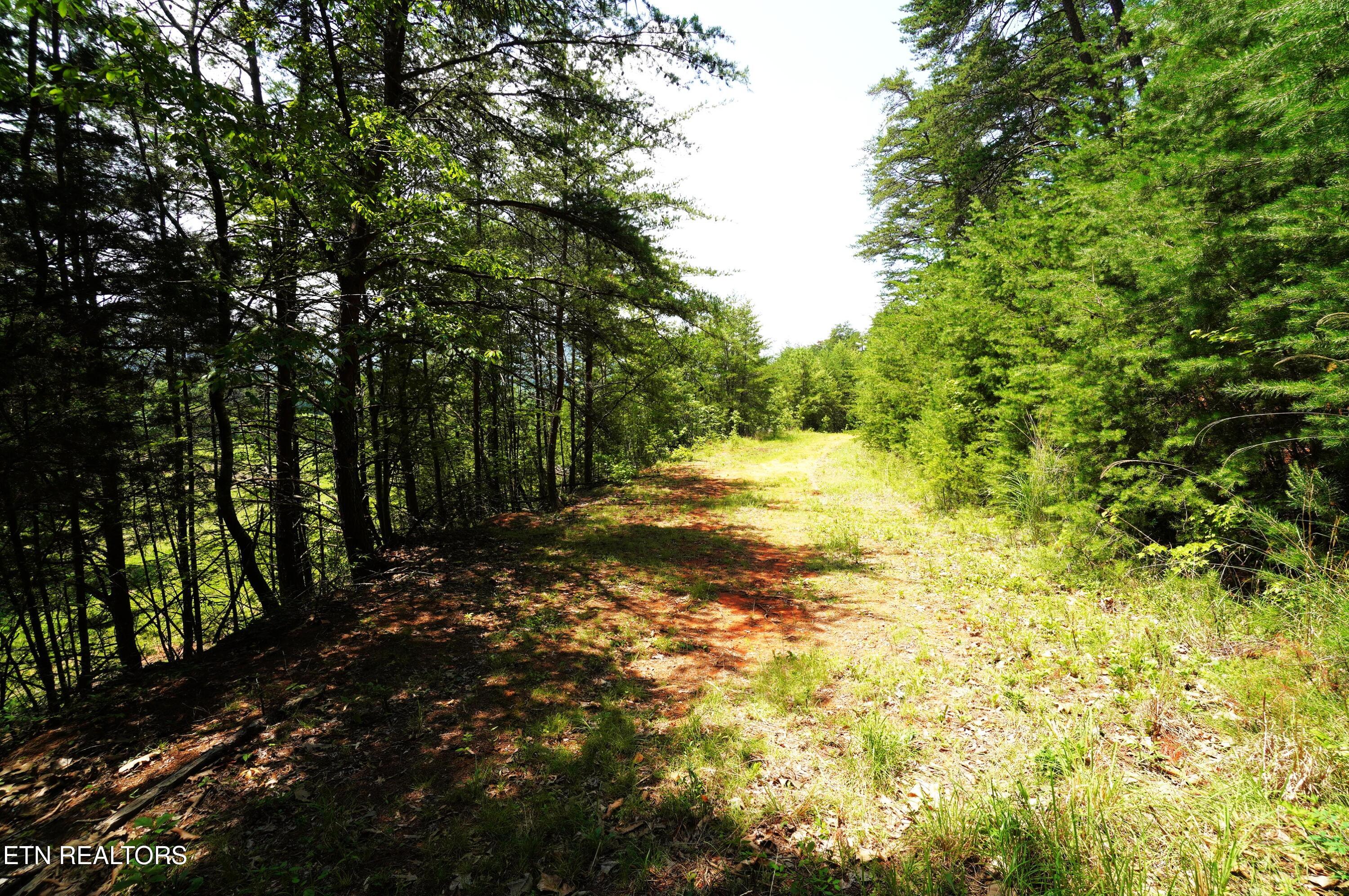 00 Rhyne Camp Road Newport TN 37821