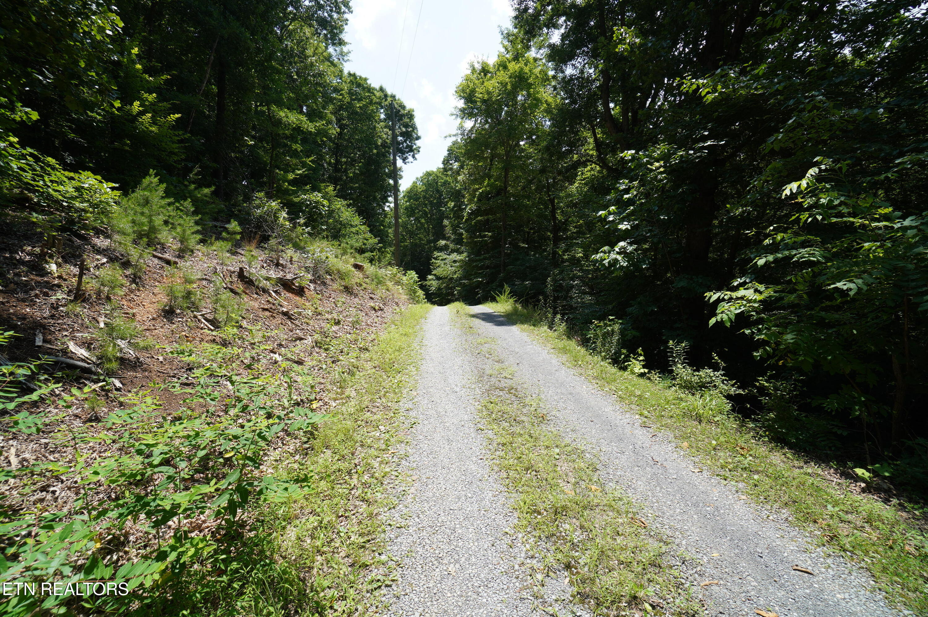00 Rhyne Camp Road Newport TN 37821