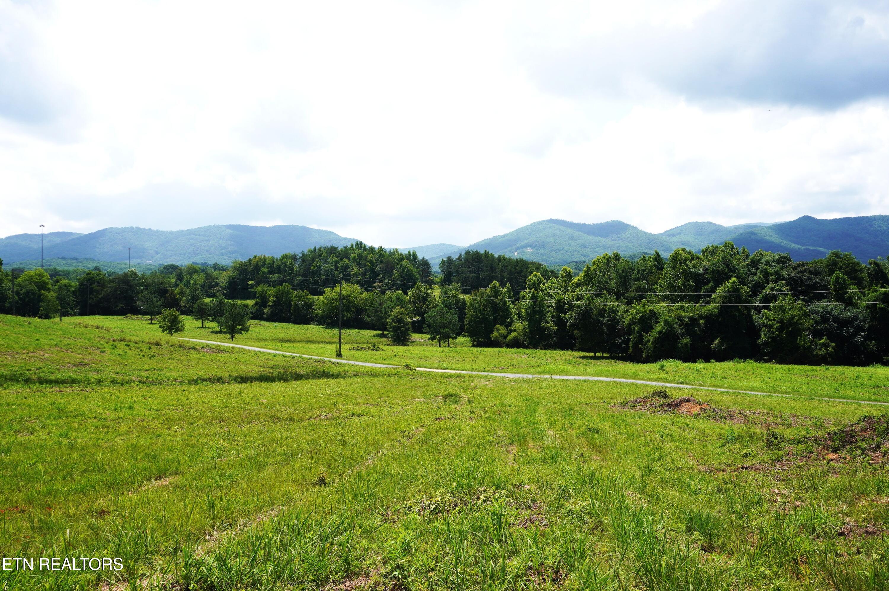 00 Rhyne Camp Road Newport TN 37821