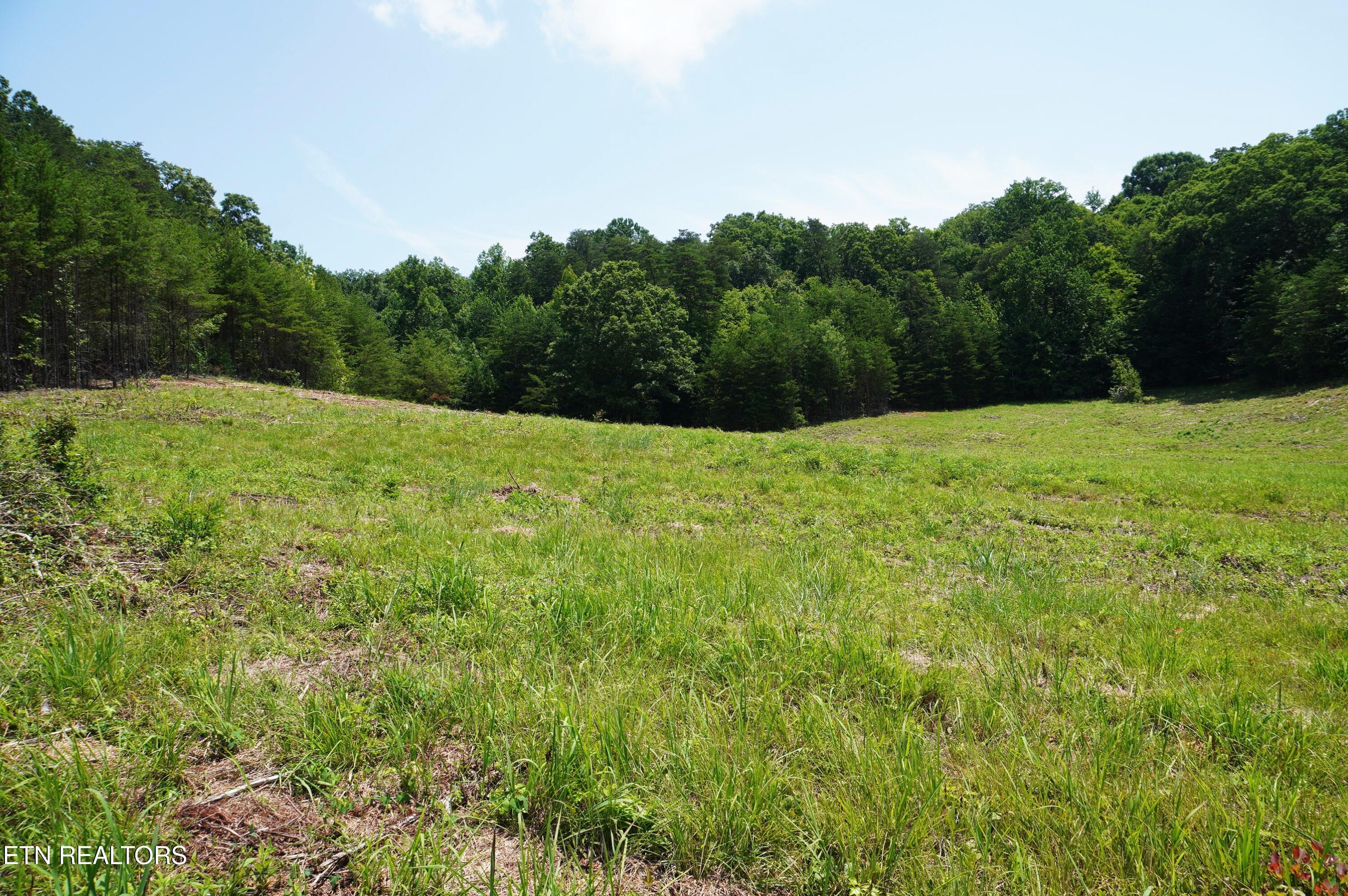 00 Rhyne Camp Road Newport TN 37821
