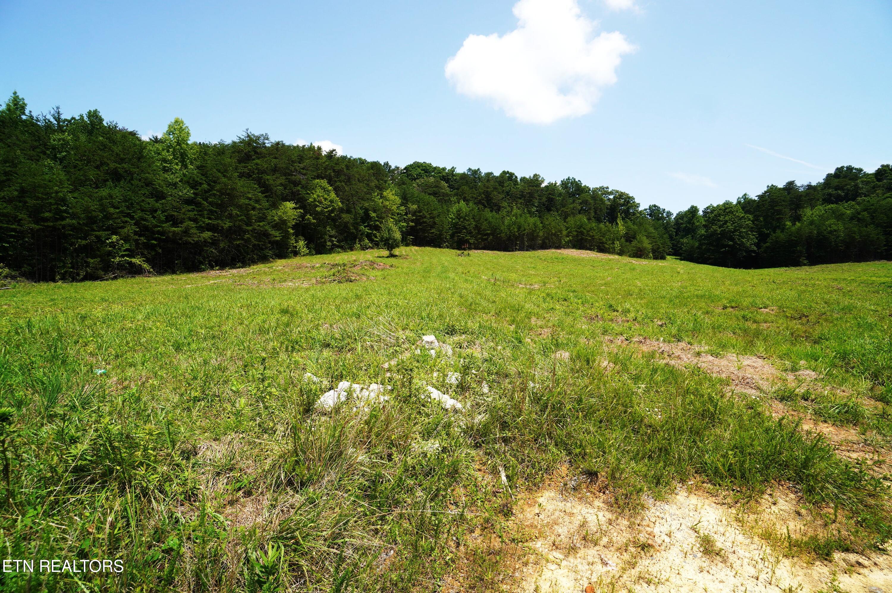 00 Rhyne Camp Road Newport TN 37821