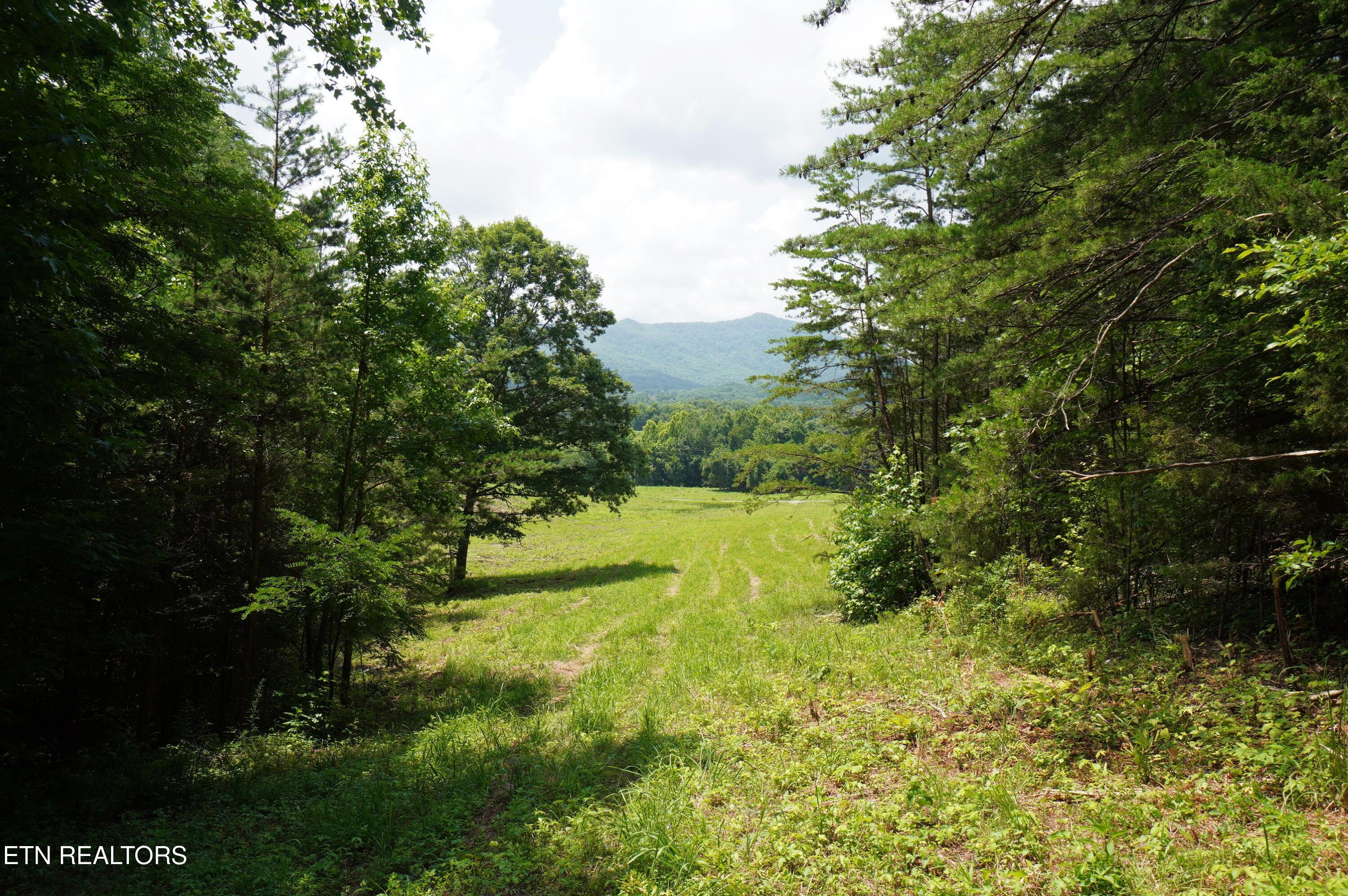 00 Rhyne Camp Road Newport TN 37821