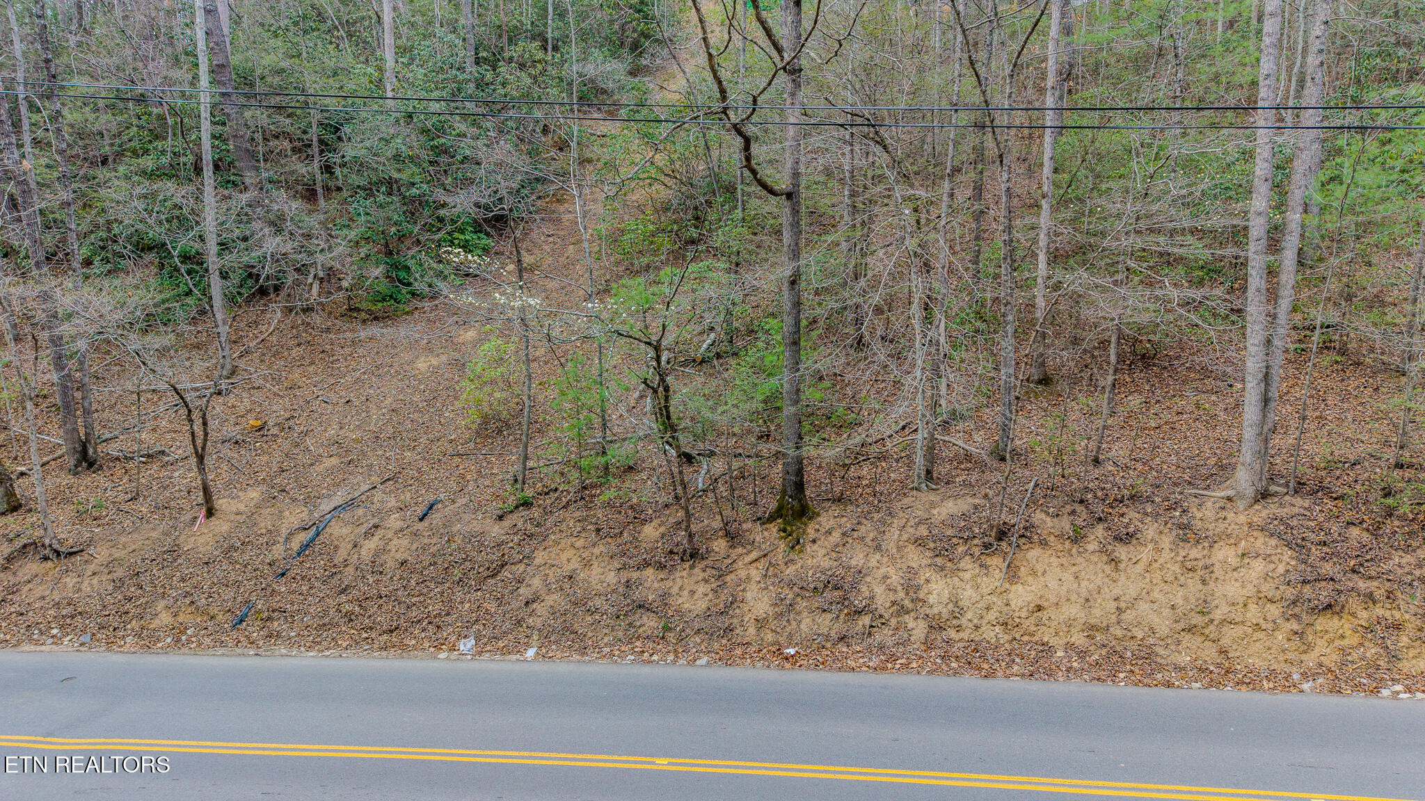 Proffitt Road Gatlinburg TN 37738