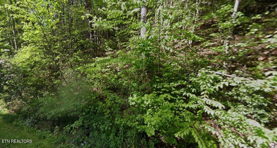 Huskey Court Gatlinburg TN 37738