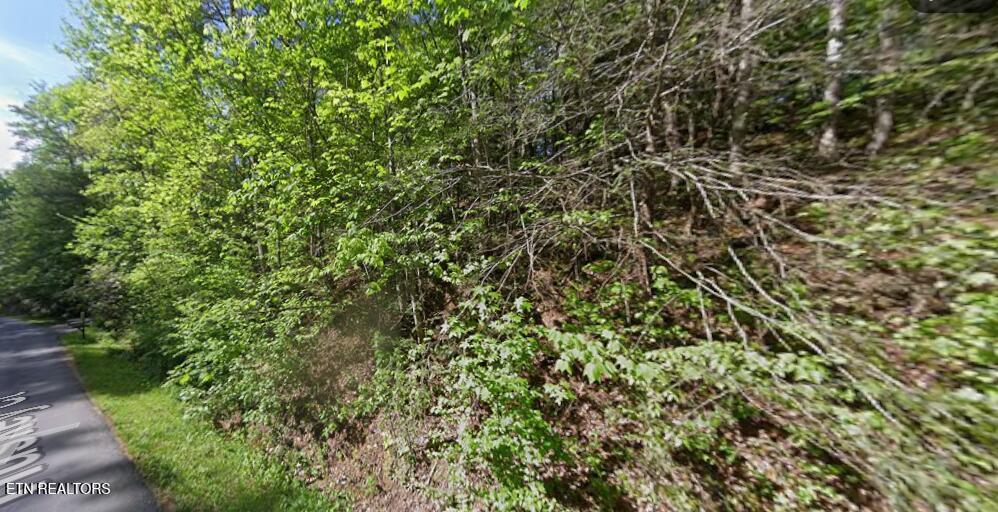 Huskey Court Gatlinburg TN 37738