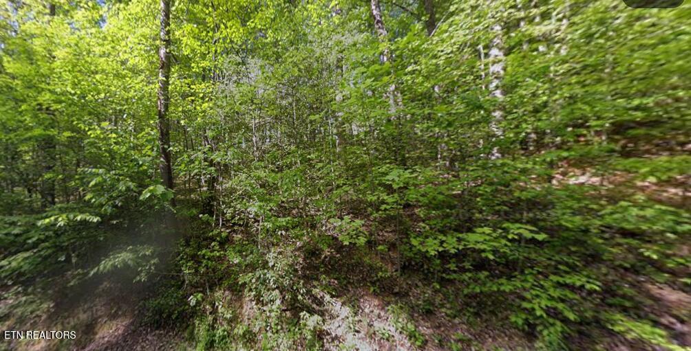 Huskey Court Gatlinburg TN 37738
