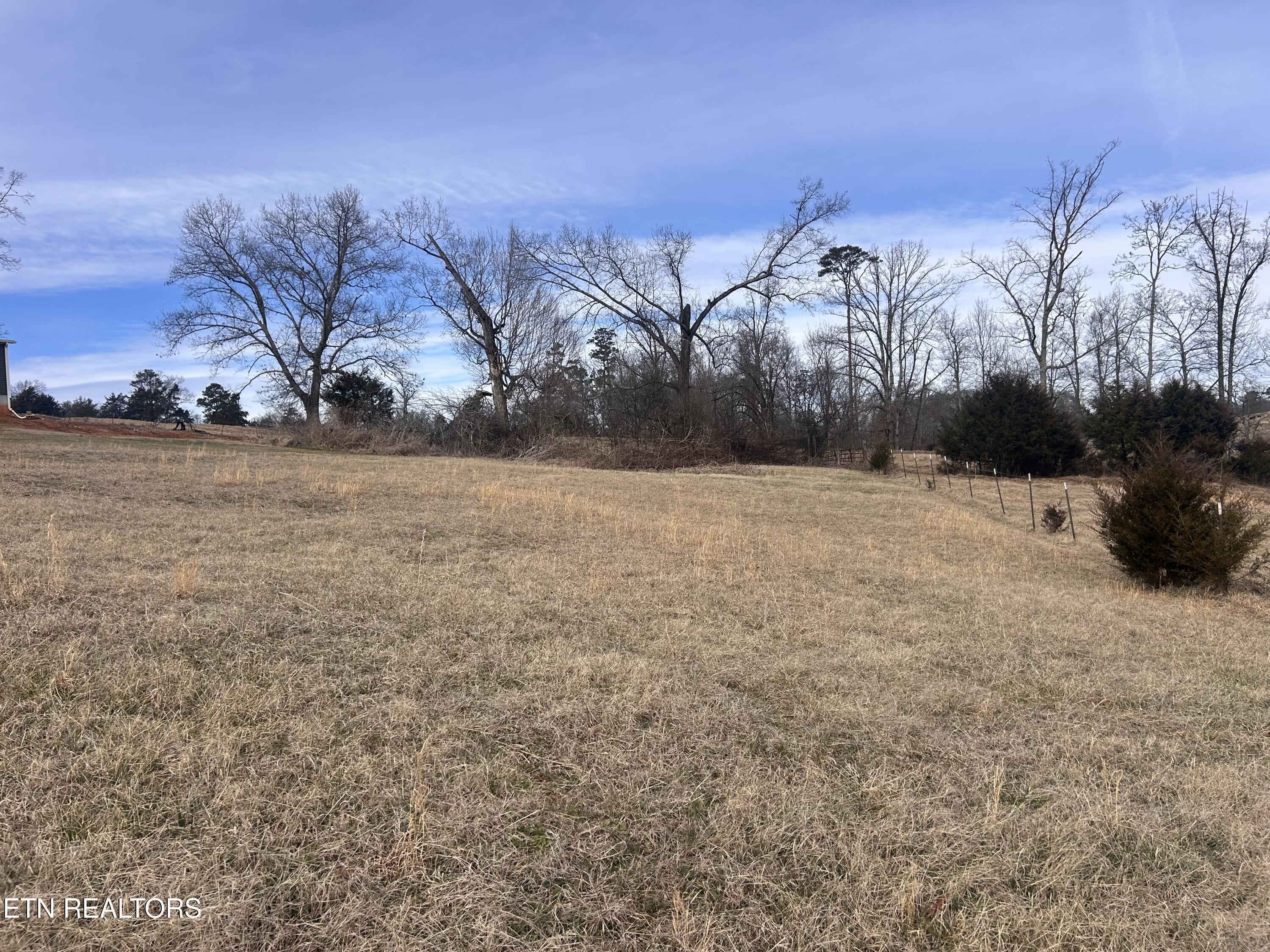 Lot 50 Lookout Drive Rutledge TN 37861