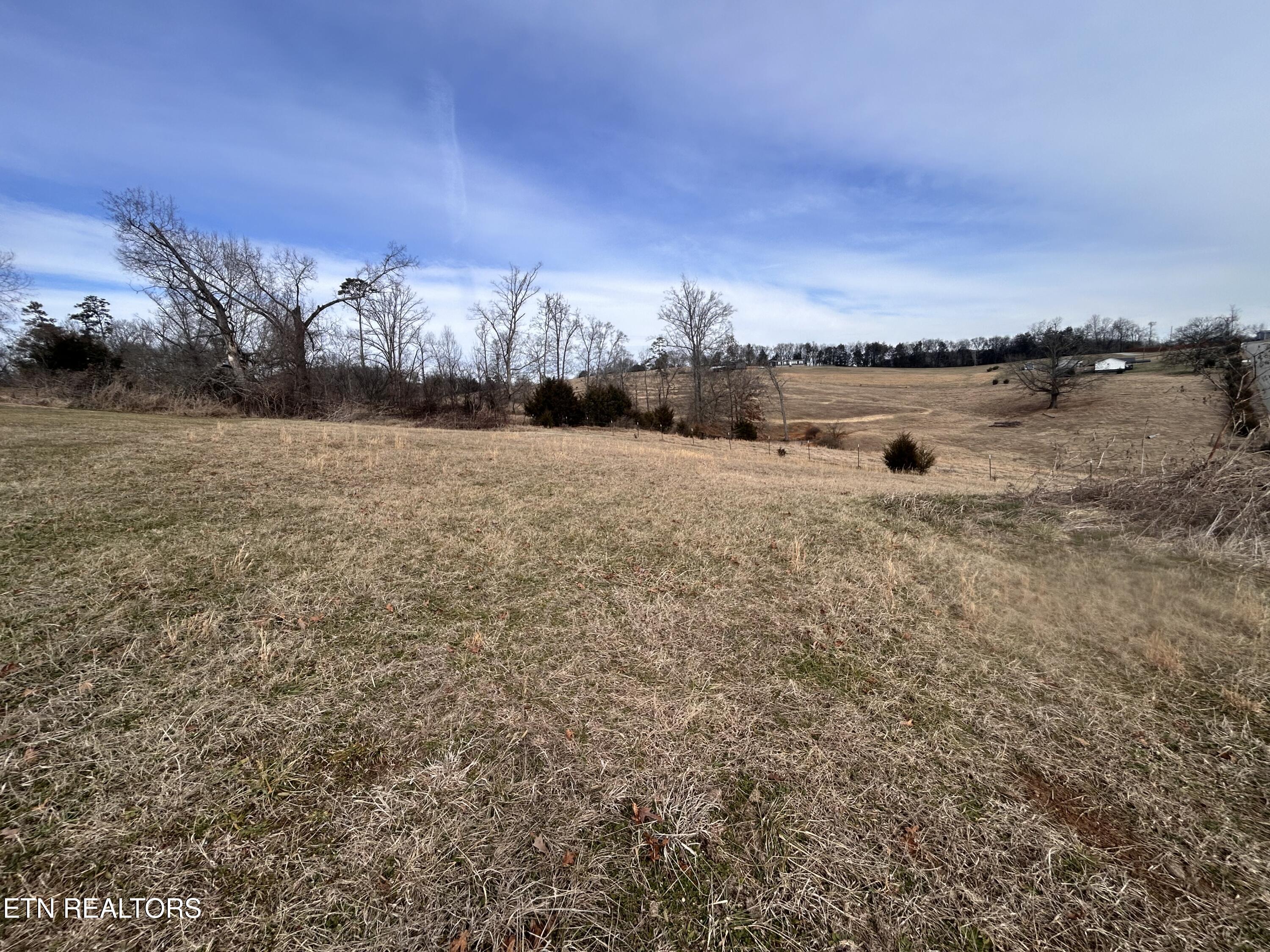 Lot 50 Lookout Drive Rutledge TN 37861