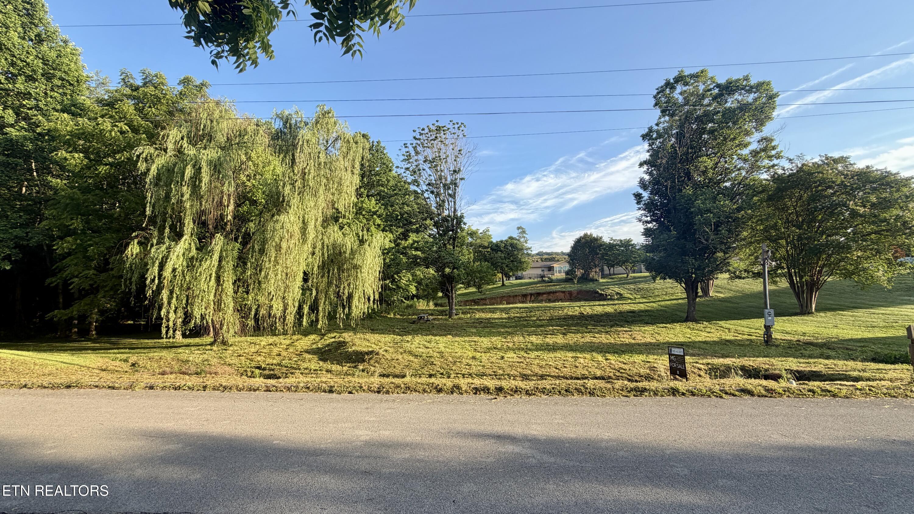 520 Pimlico Drive Seymour TN 37865