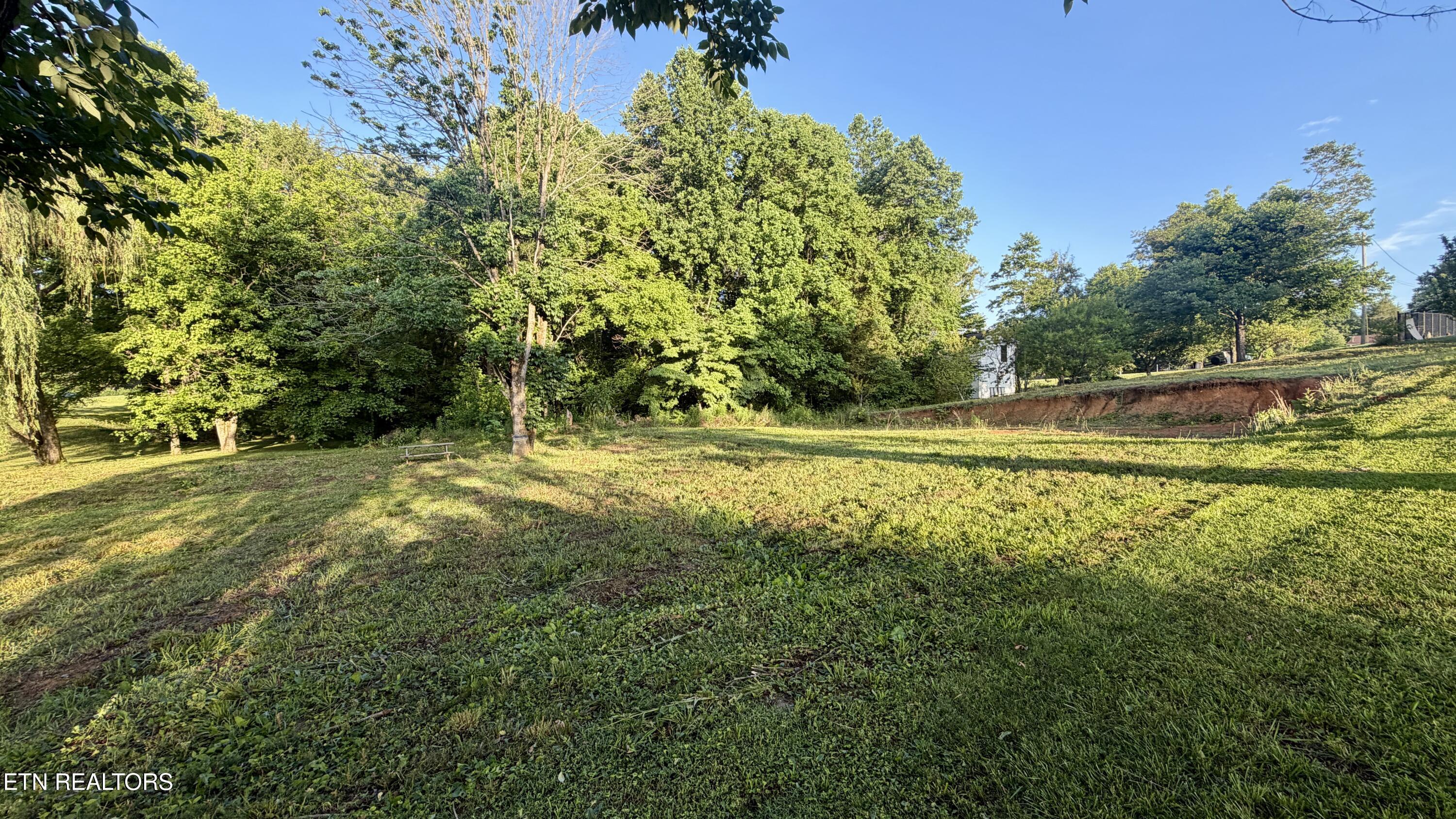 520 Pimlico Drive Seymour TN 37865