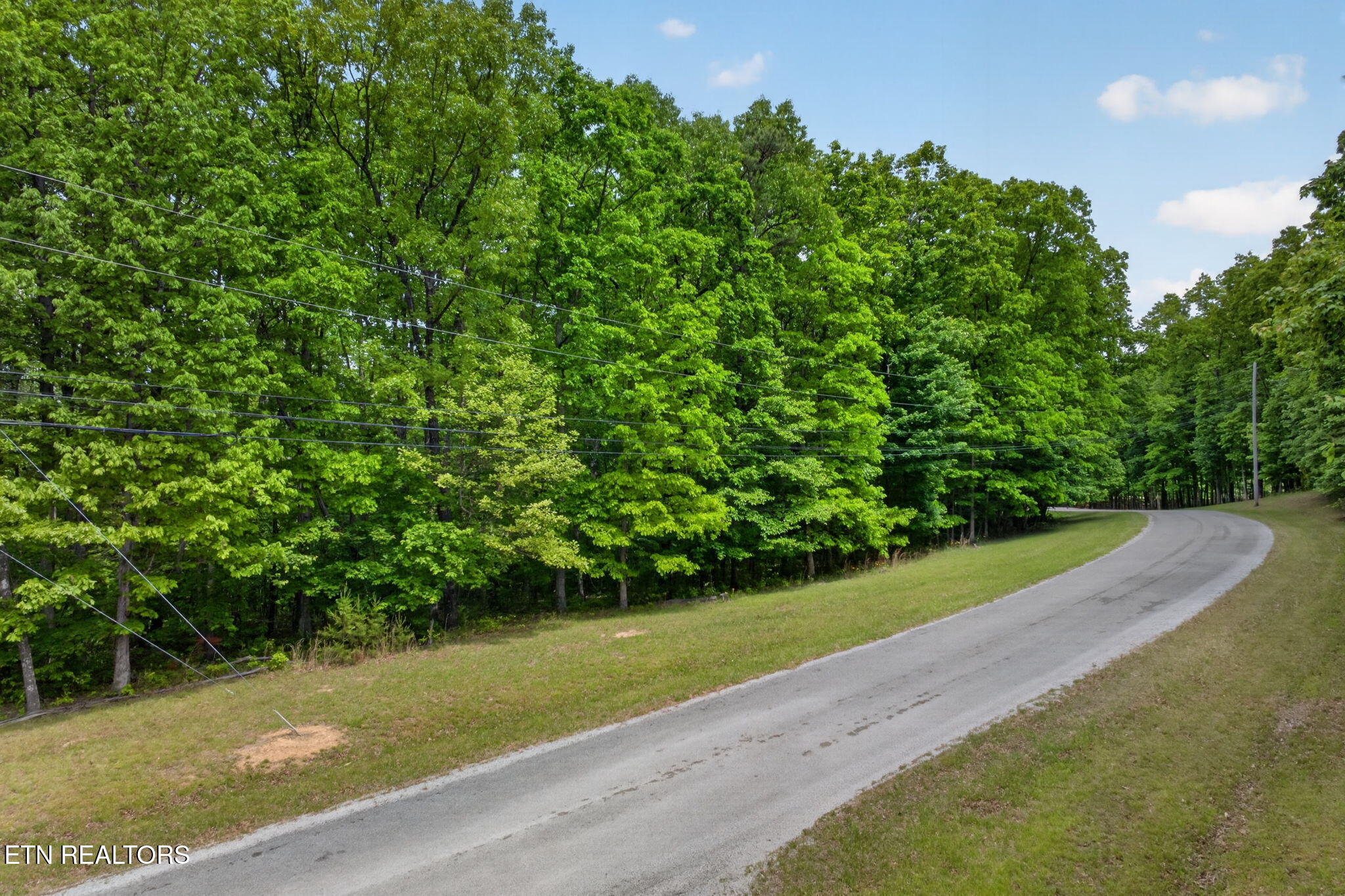 Lot 28 Crest Road Monterey TN 38574