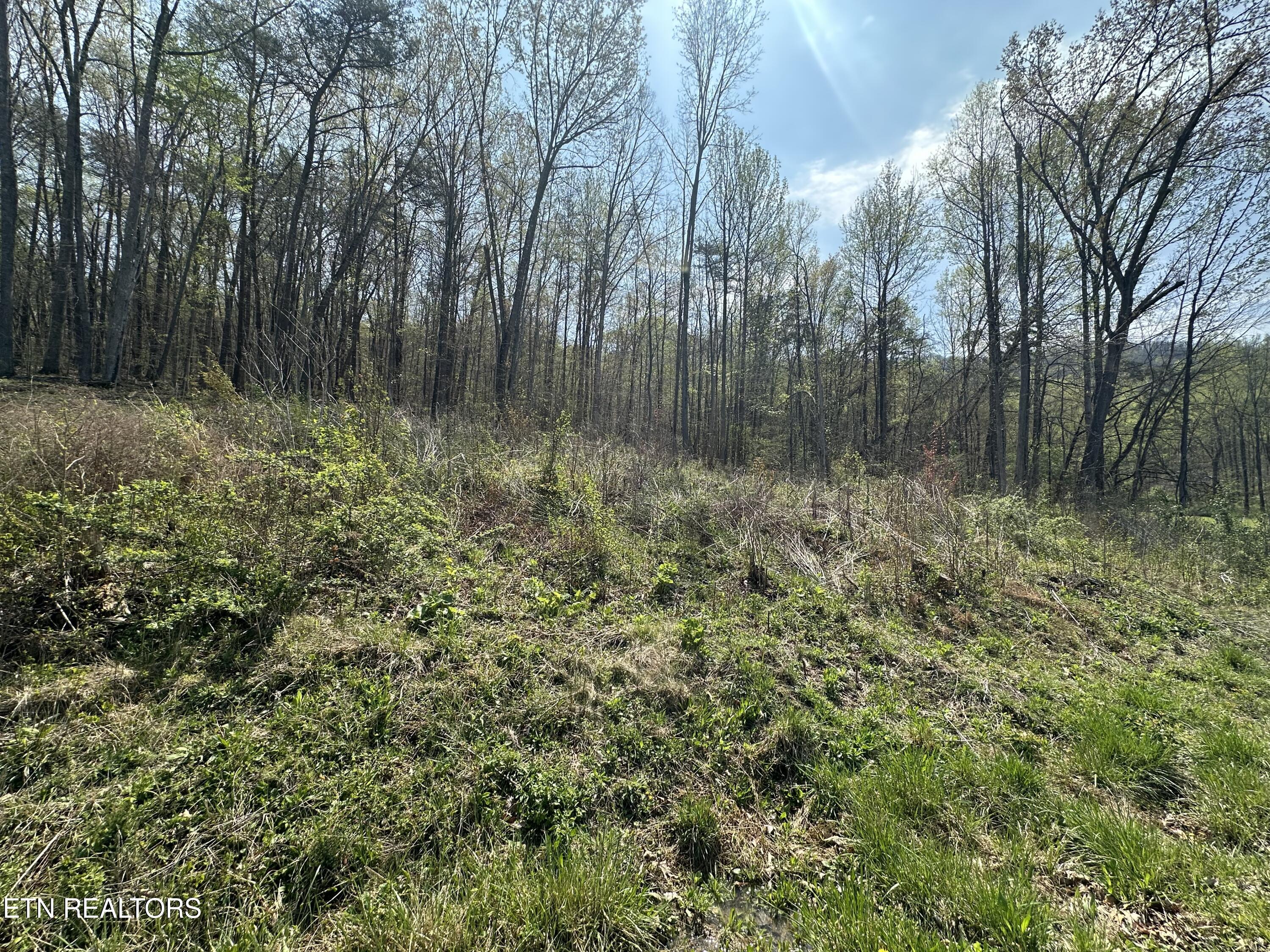 Douglas Lane Jellico TN 37762