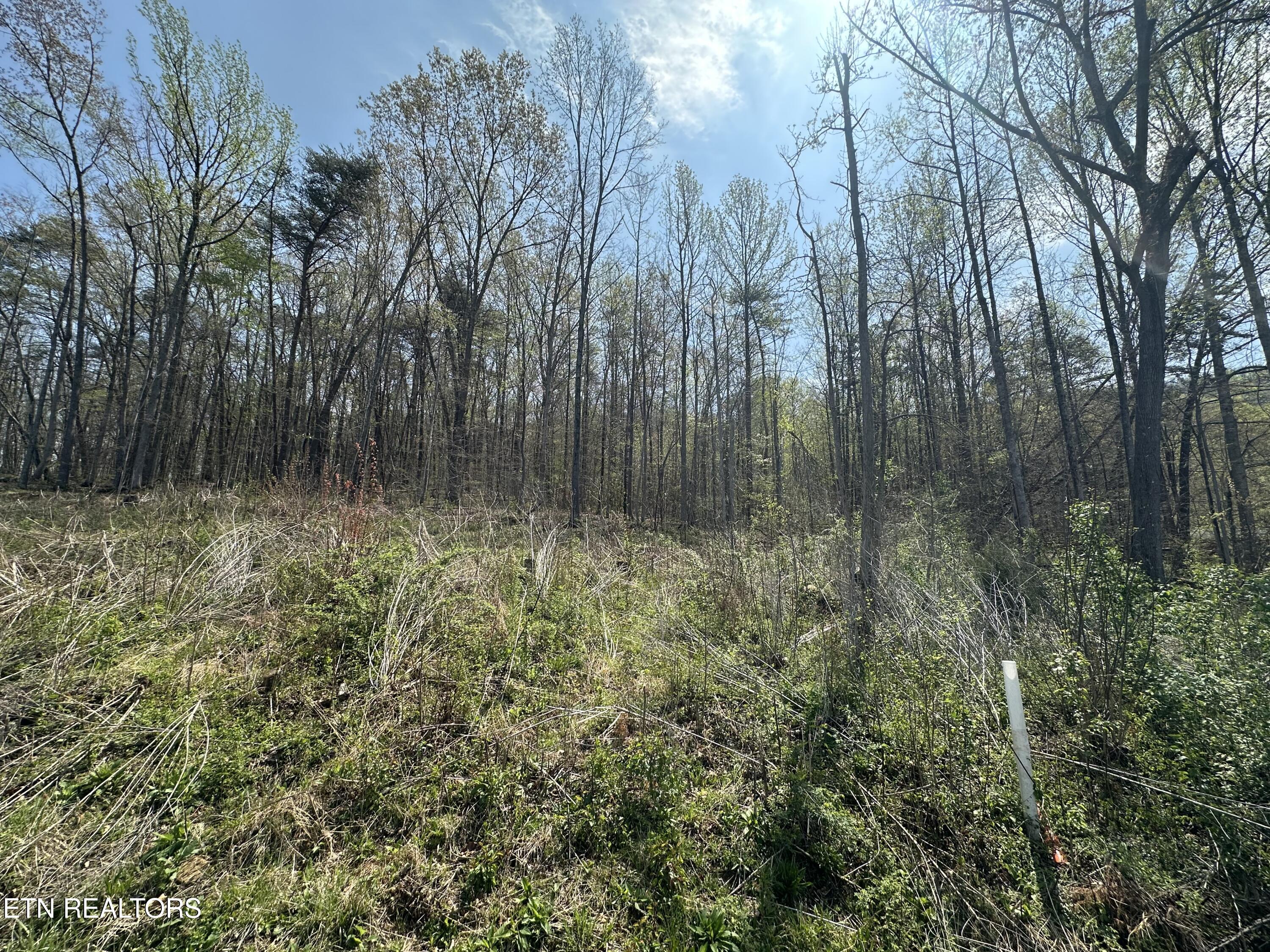 Douglas Lane Jellico TN 37762
