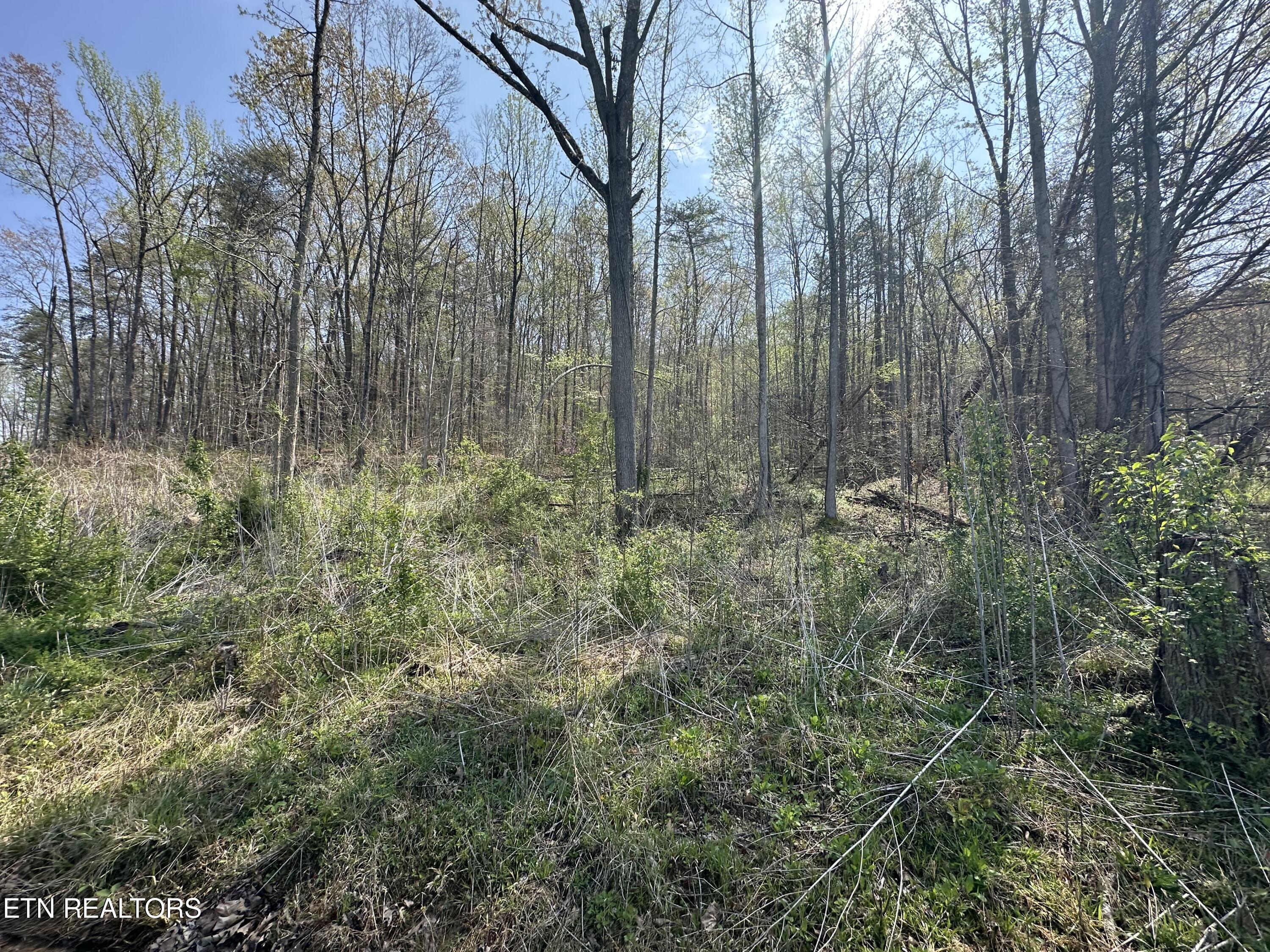Douglas Lane Jellico TN 37762