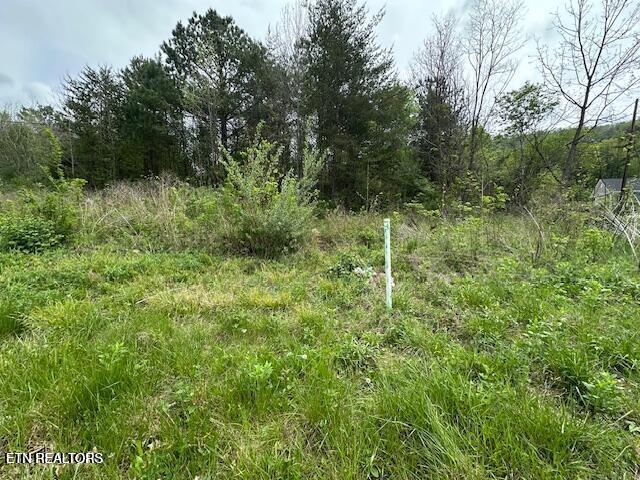 Douglas Lane Jellico TN 37762