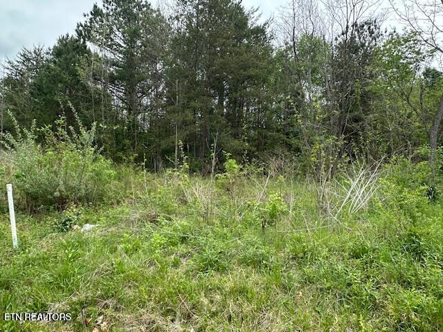 Douglas Lane Jellico TN 37762