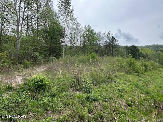 Douglas Lane Jellico TN 37762