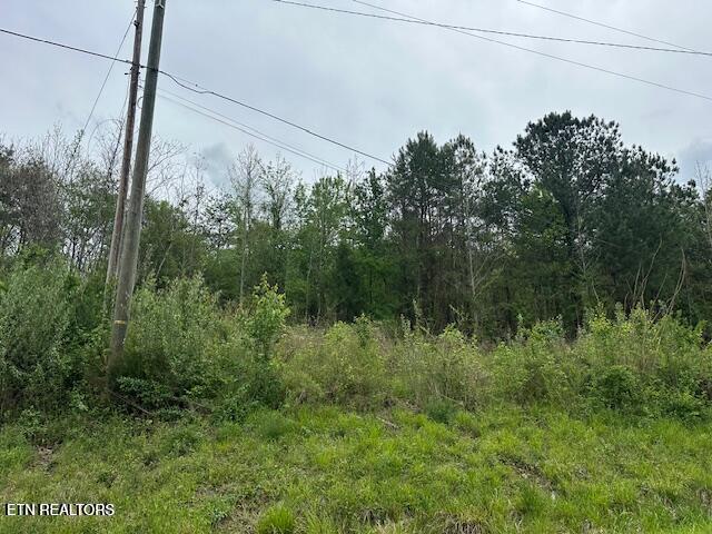 Douglas Lane Jellico TN 37762