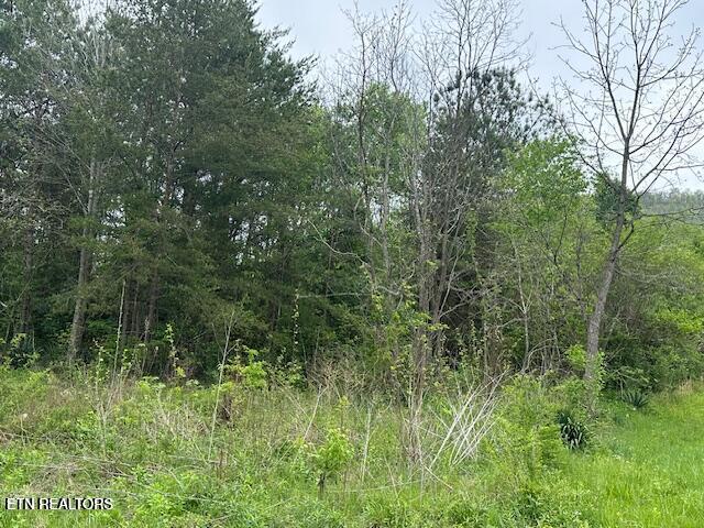 Douglas Lane Jellico TN 37762
