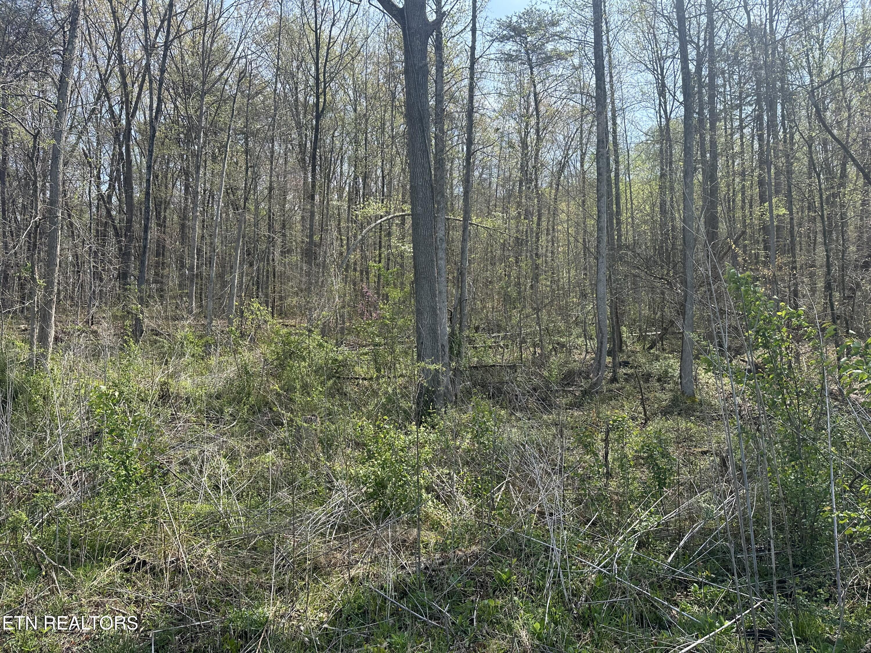 Douglas Lane Jellico TN 37762
