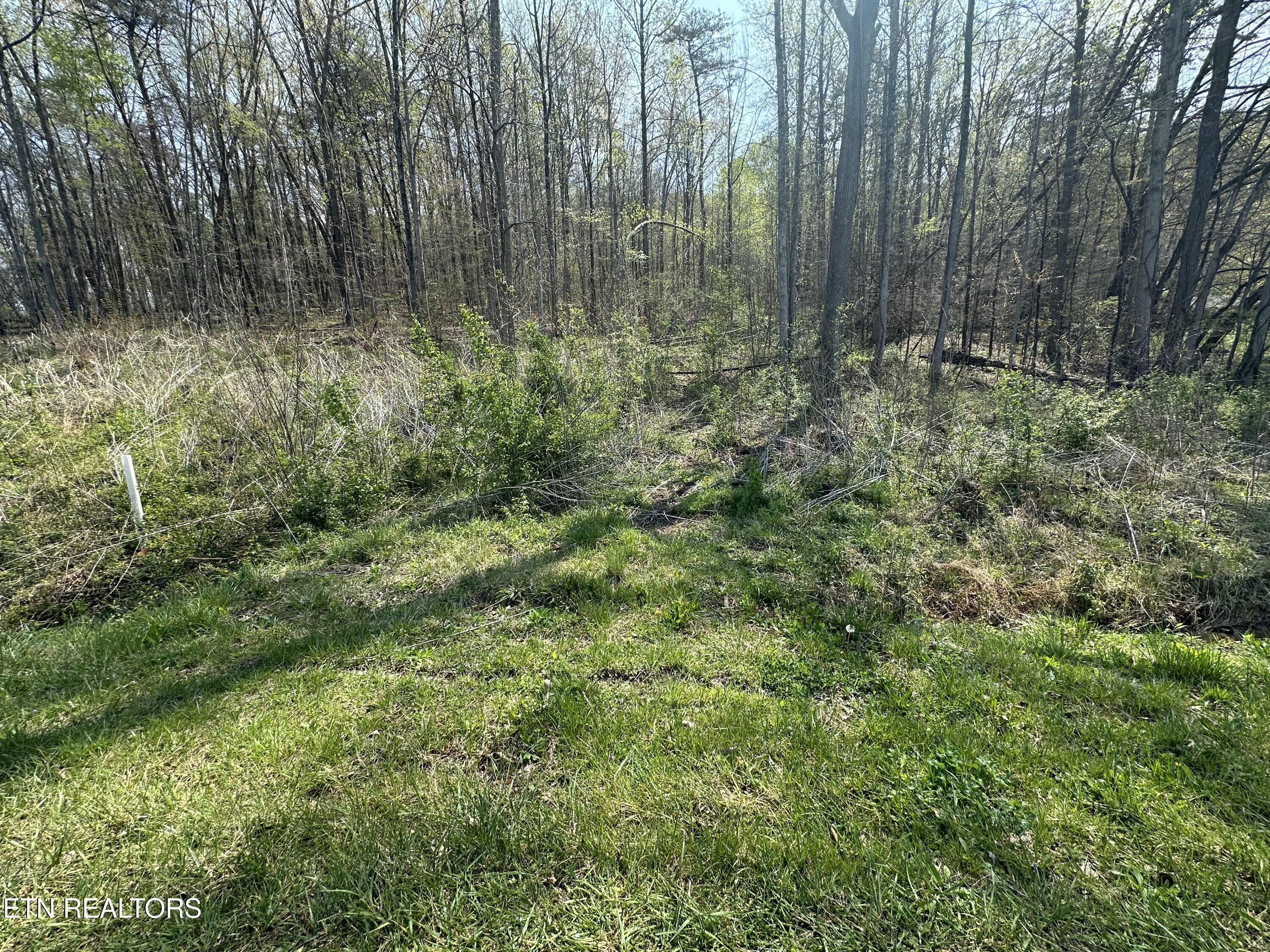 Douglas Lane Jellico TN 37762