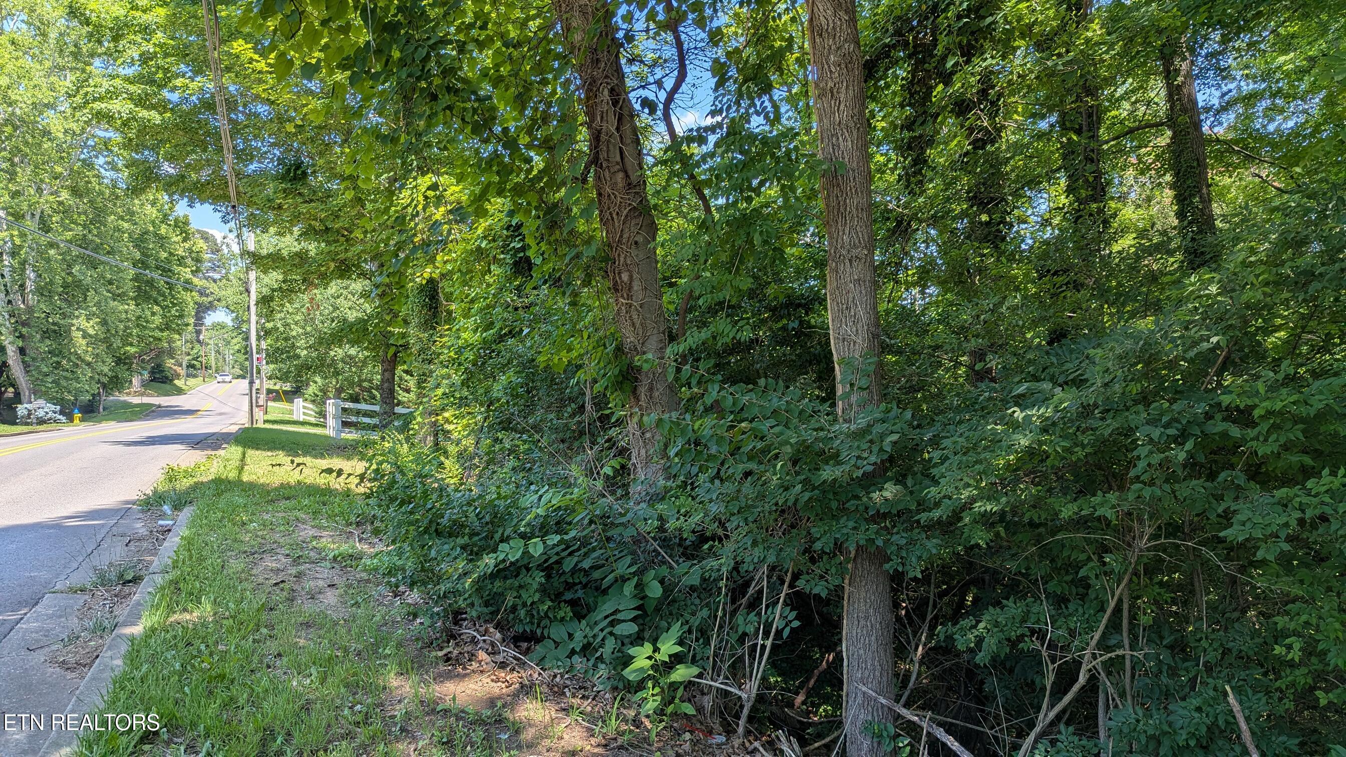 Cedar Lane Knoxville TN 37918