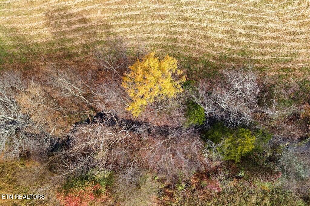 Old Kentucky Road Sparta TN 38583